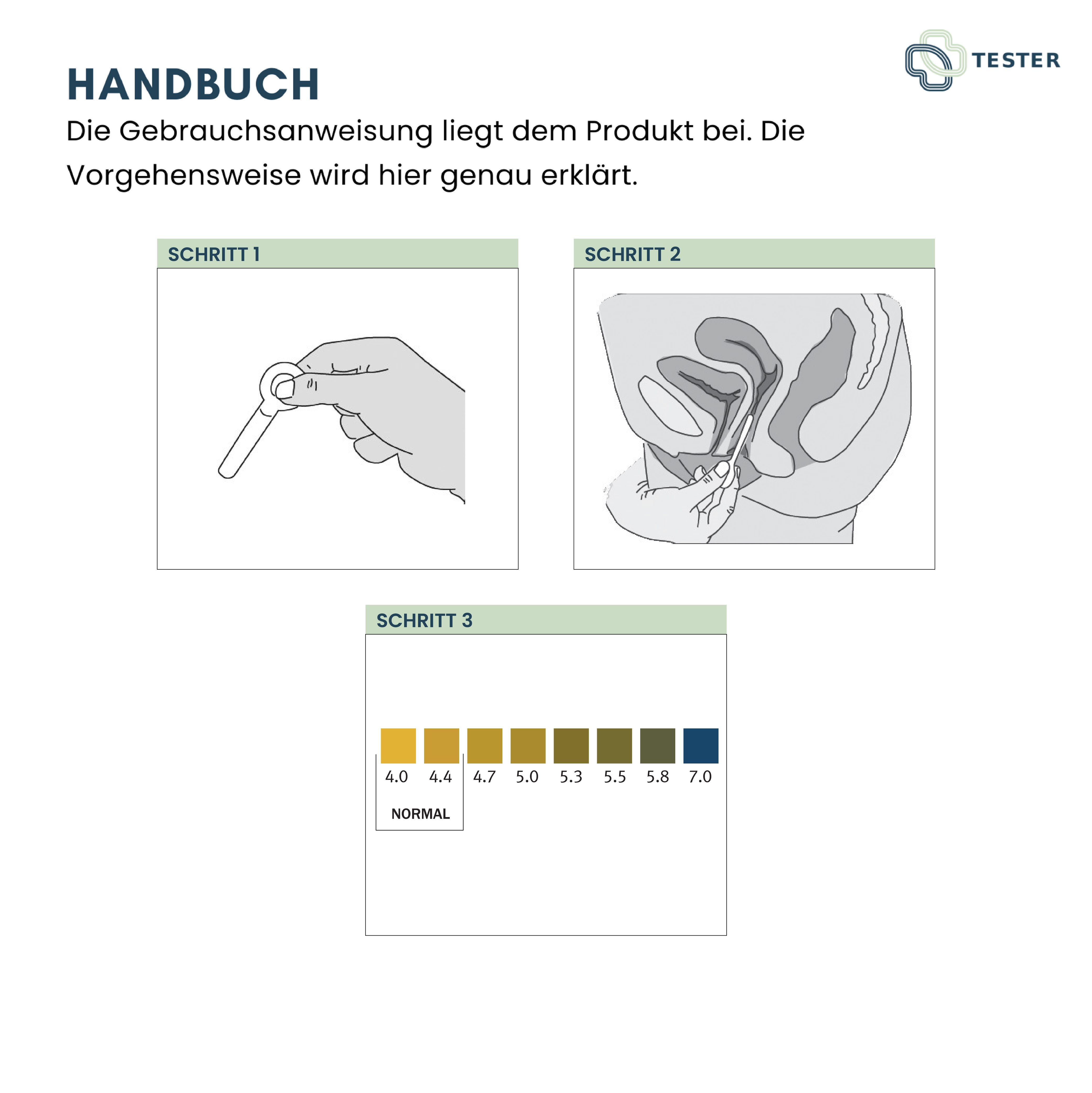 Instructions avec illustrations: Étape 1, bâtonnet de test. Étape 2, application. Étape 3, échelle de couleurs pour les résultats.