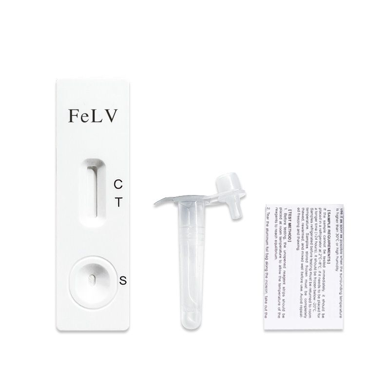 FeLV-test voor katten, met teststrip, buisje en bijsluiter. De test is wit.
