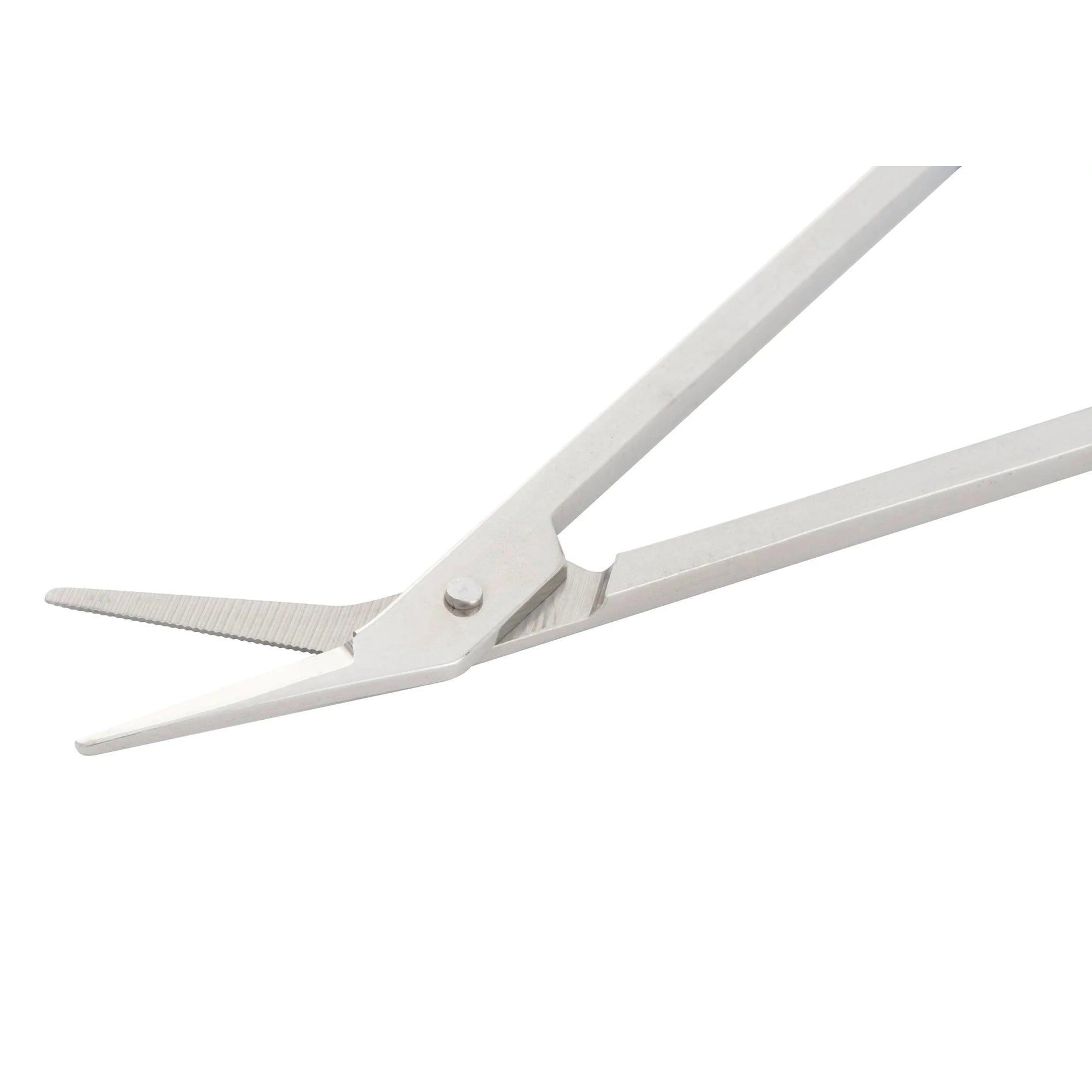 Gros plan de la pointe d'une pince à ongles de pieds. Lames métalliques, pointe tranchante. Articulation et lames en détail.