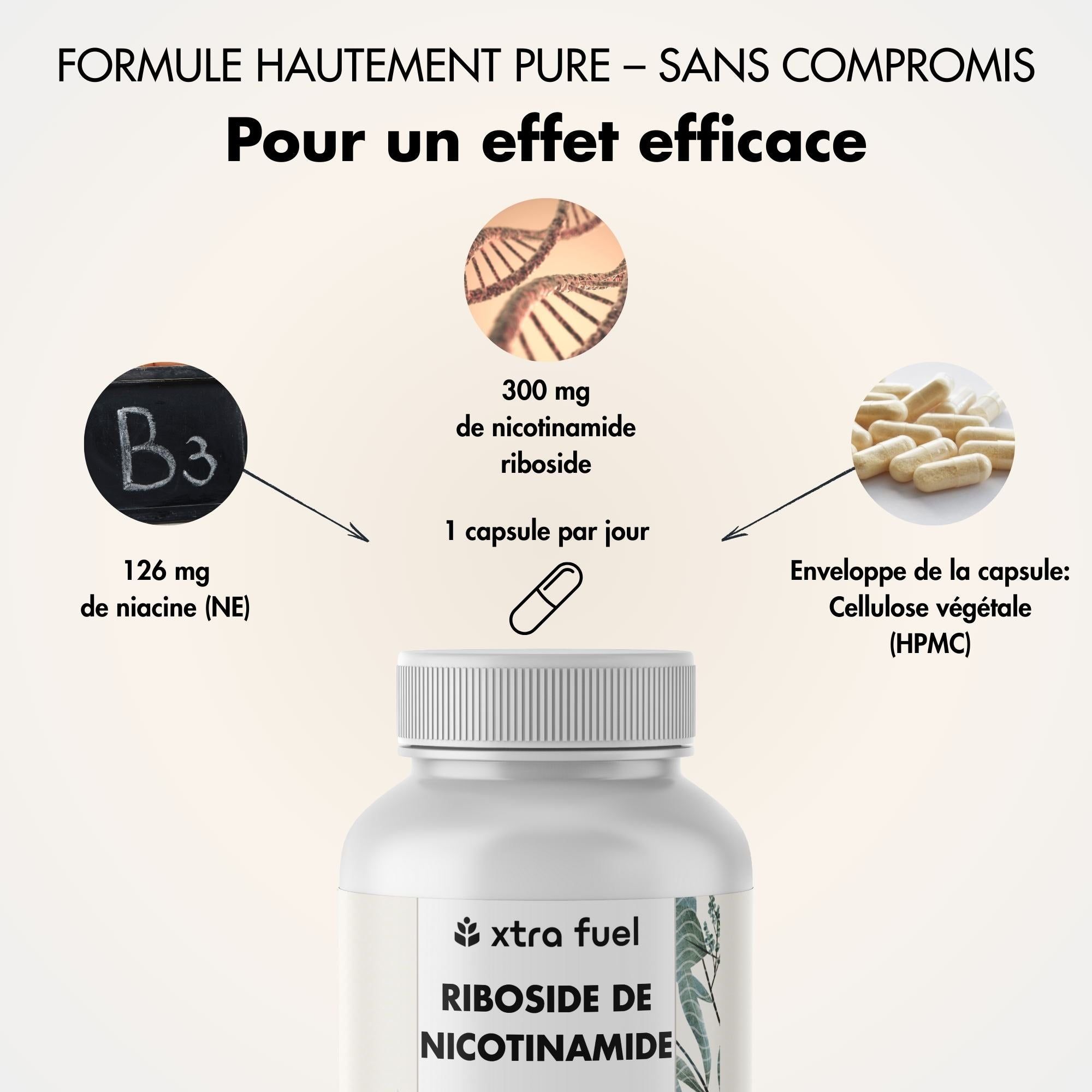 XTRA FUEL Précurseur NAD+ - nicotinamide riboside pour énergie et vitalité*