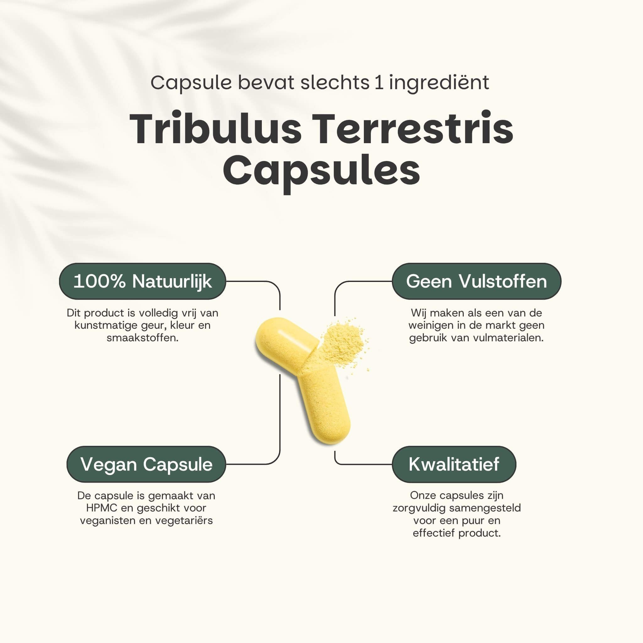 Gele capsule met poeder. Tekst: Tribulus Terrestris Capsules. 100% natuurlijk, veganistisch, geen vulstoffen, kwalitatief.
