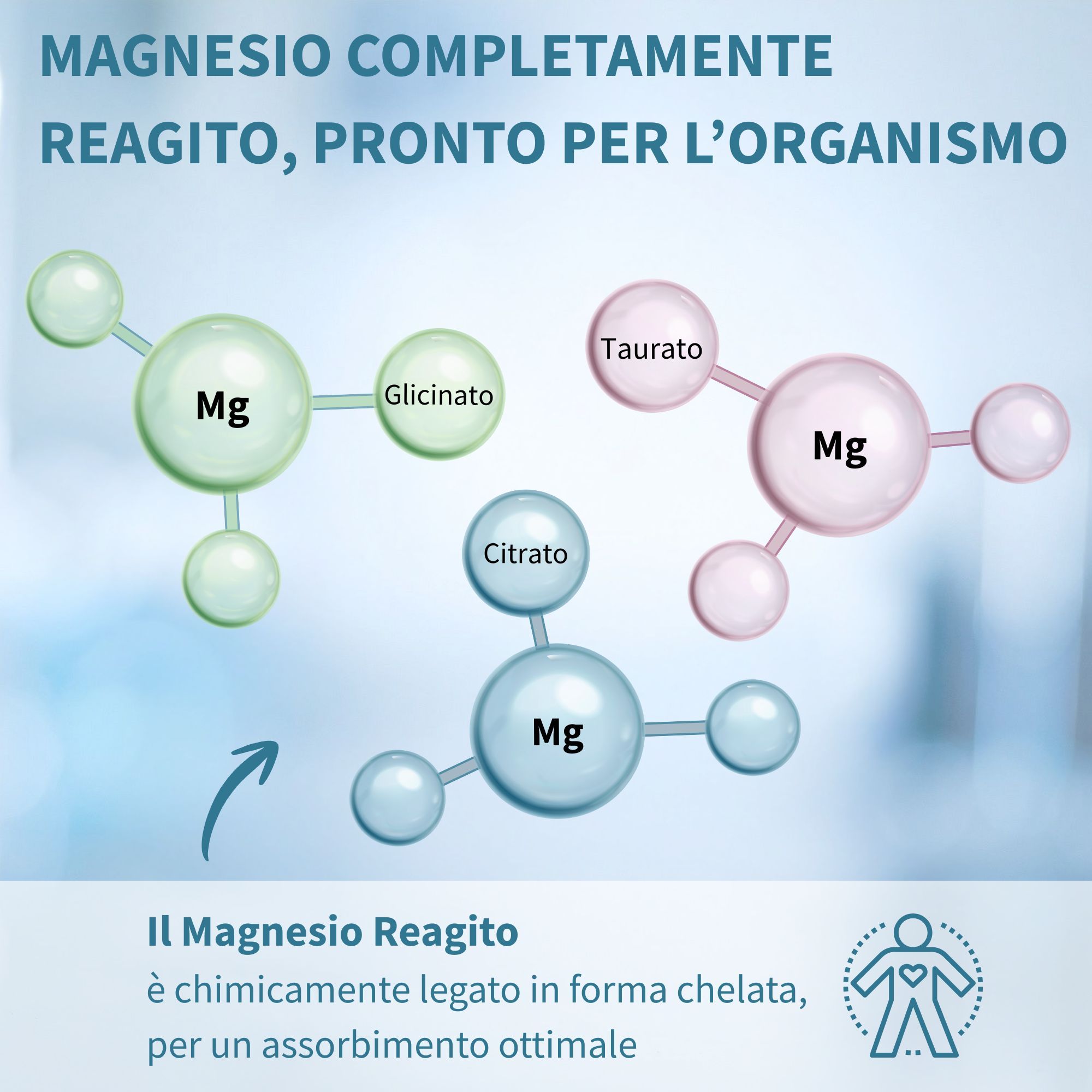 Représentation moléculaire de magnésium avec glycinate, taurate et citrate.