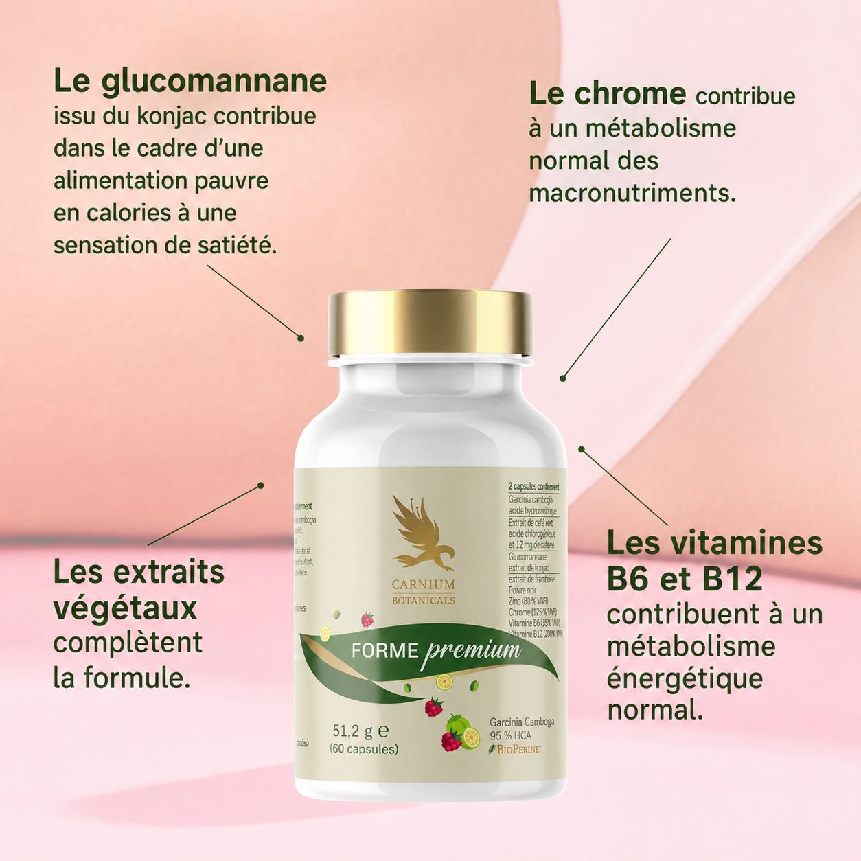 Bouteilles Carnium Botanicals Premium Shape, tenues par des mains, avec caractéristiques.