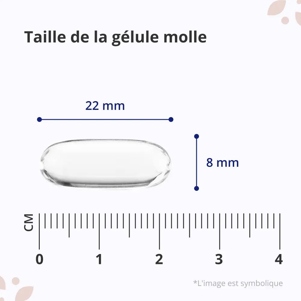 Gélule transparente, 22 mm de long, 8 mm de large. Mesures en cm. Image symbolique.