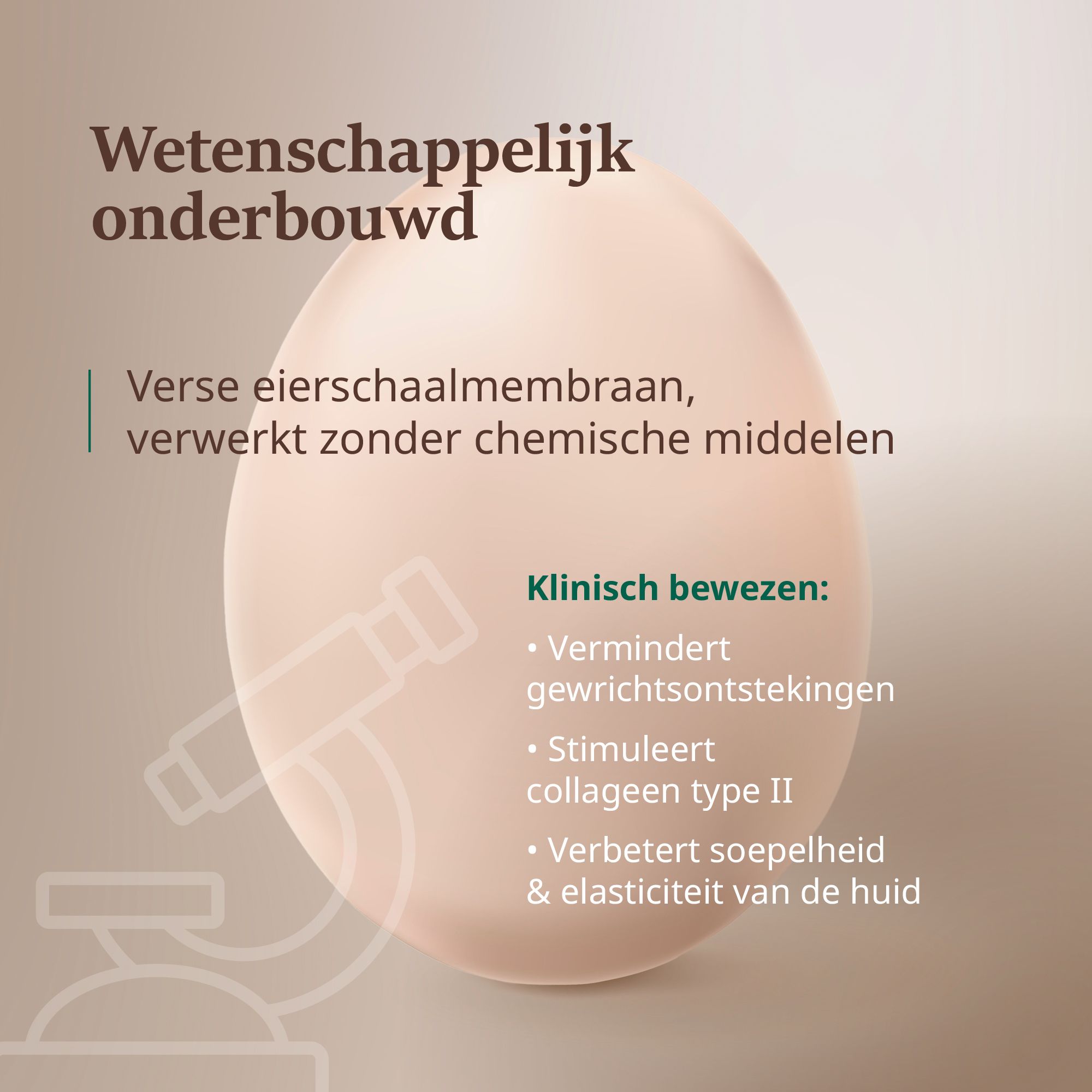 Ei met tekst: Klinisch bewezen: Vermindert gewrichtsontstekingen, stimuleert collageen type II, verbetert huidelasticiteit.