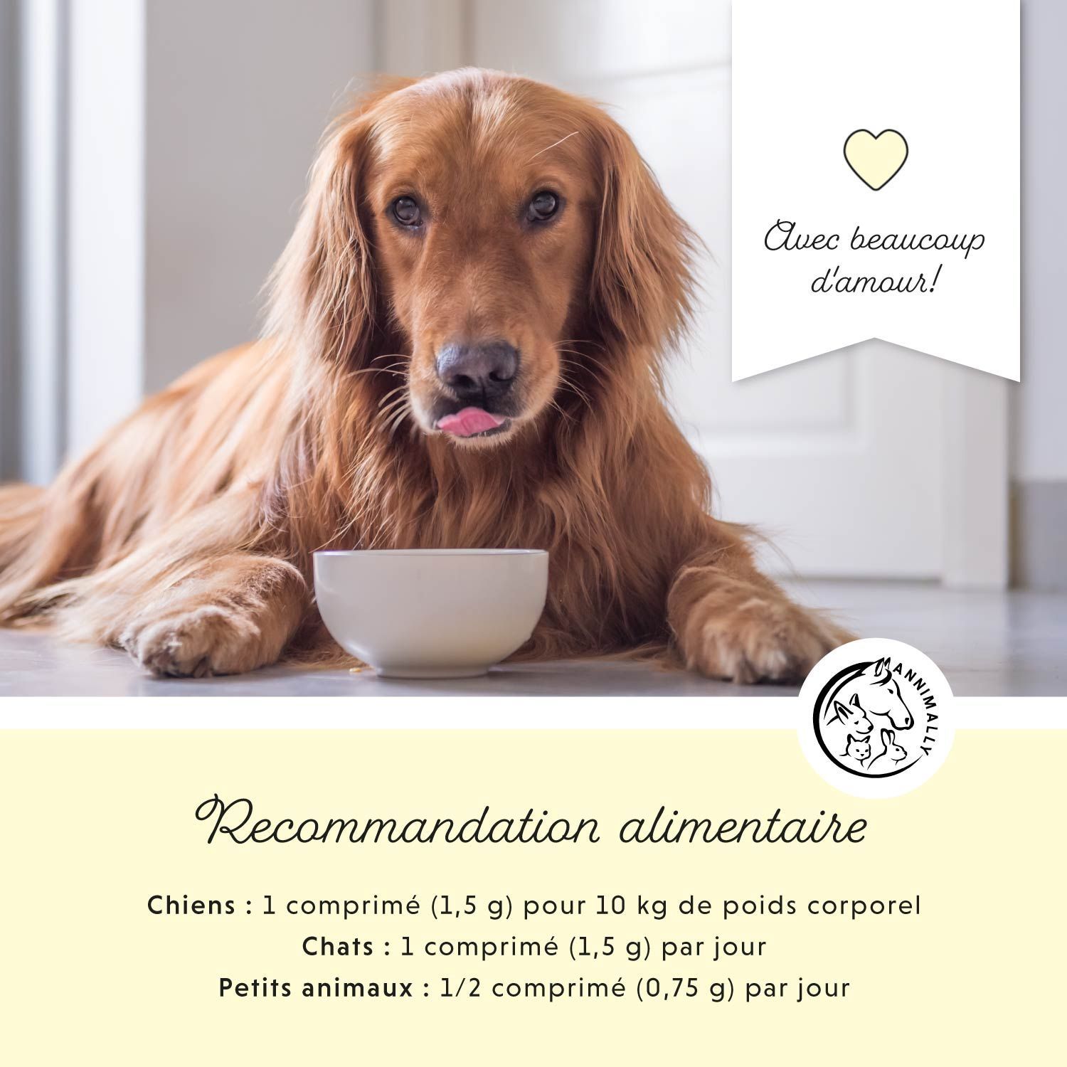 Chien avec bol. Texte : Recommandations alimentaires. 1 comprimé par 10 kg de poids corporel. Logo.