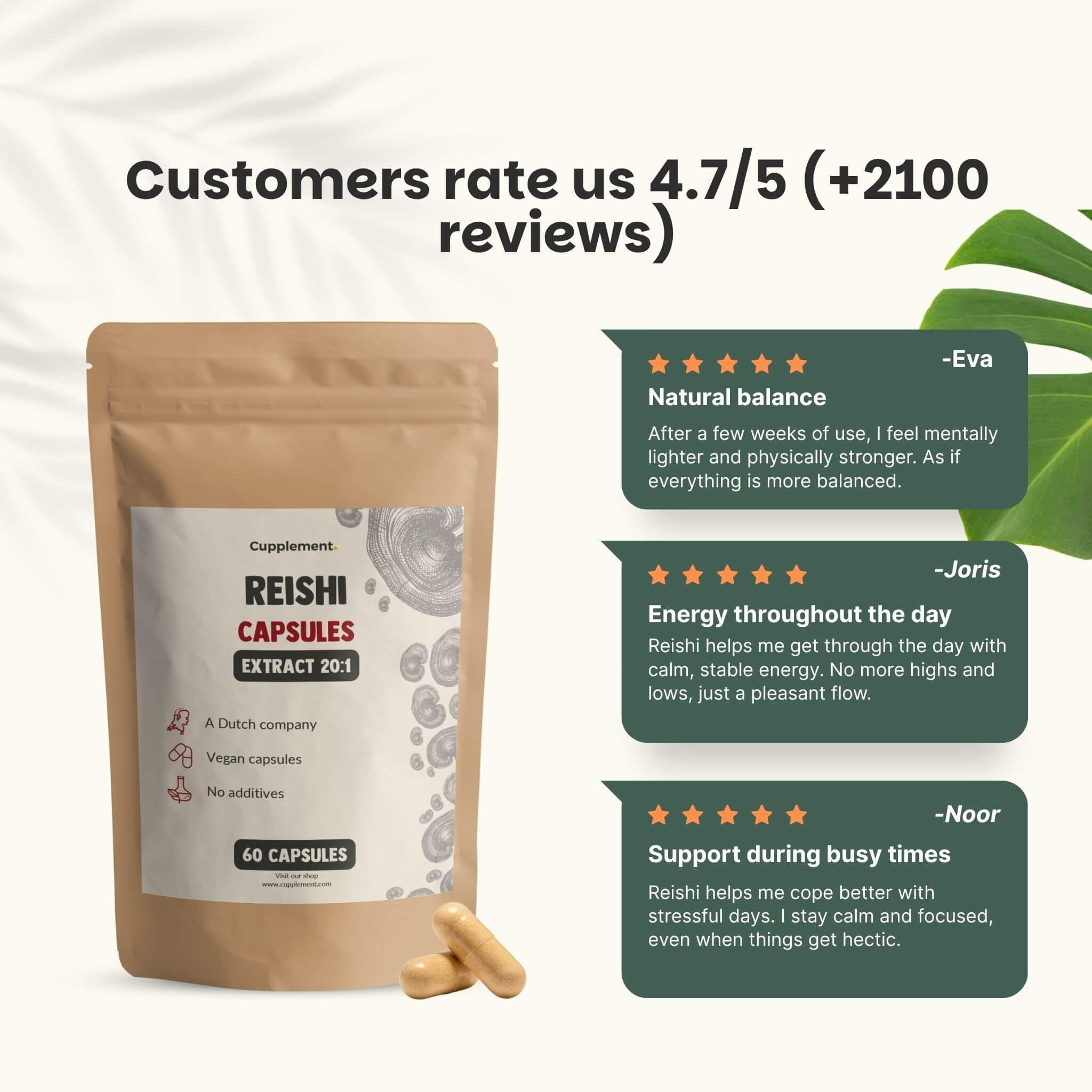 Gélules de Reishi. Avis clients. 4,7/5 étoiles. 60 gélules. 3 avis.