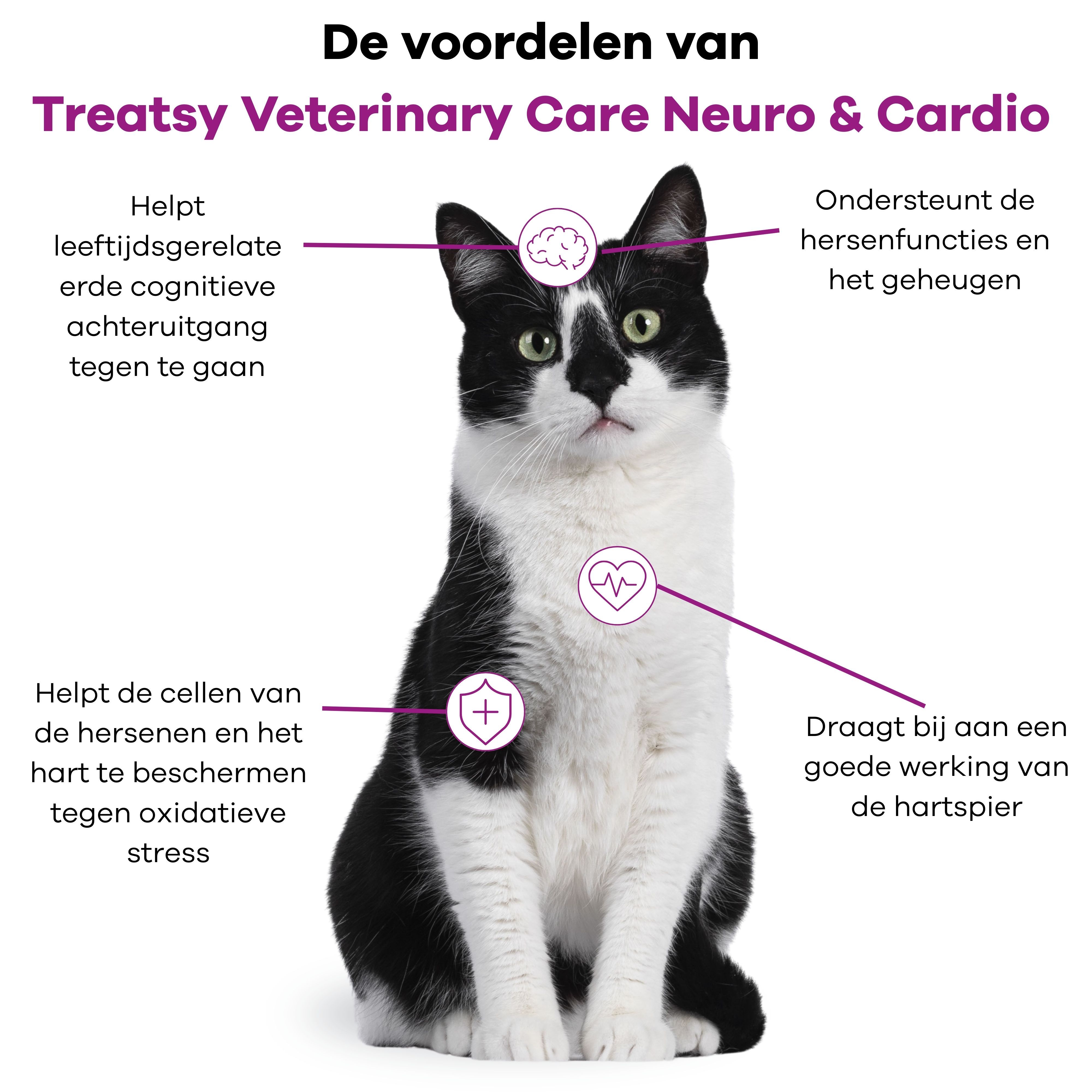 Kat met diagram. Voordelen van Treatsy Veterinary Care Neuro & Cardio. Tekst en symbolen voor hersenen en hart.