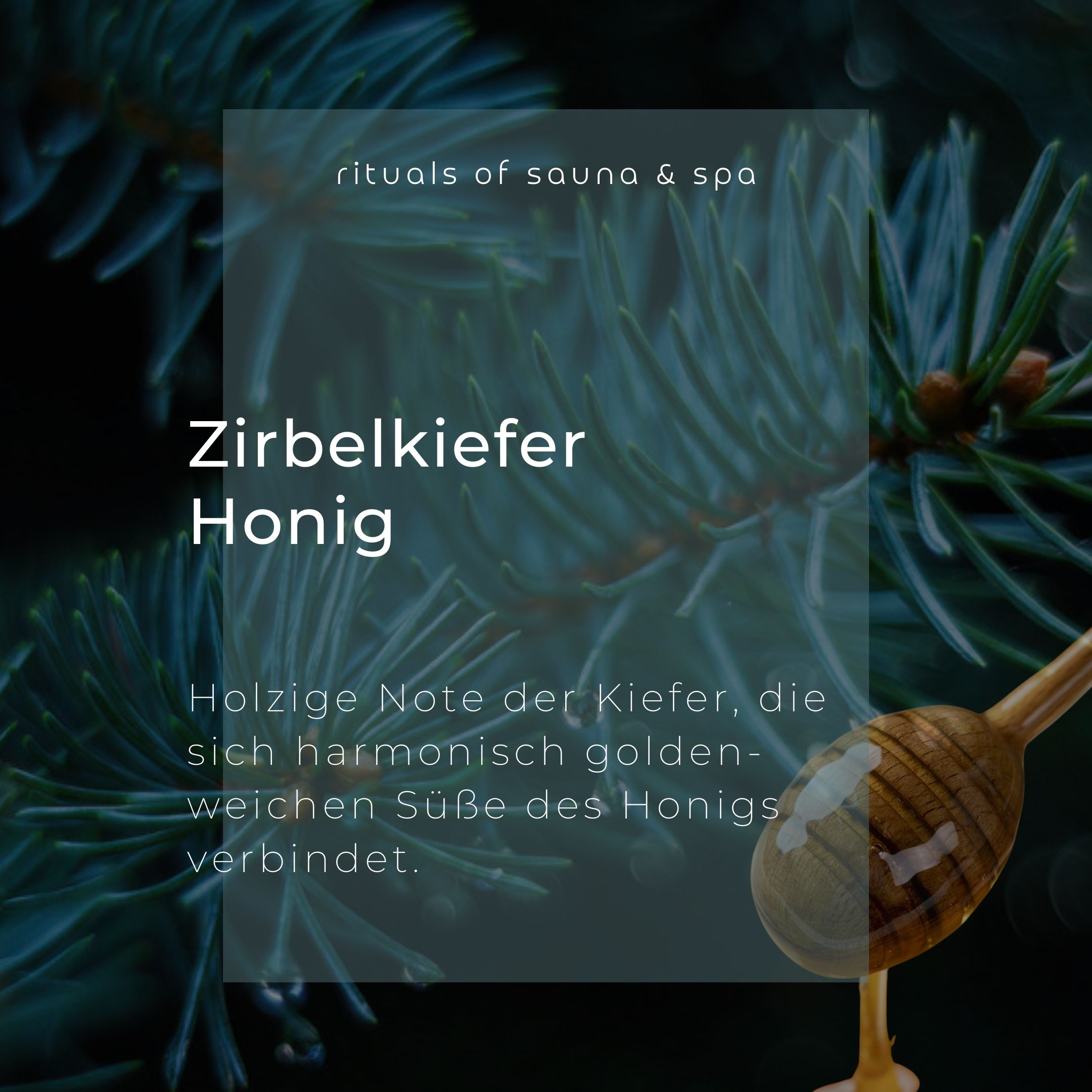 Texte sur fond transparent : Zirbelkiefer Honig. Note boisée de pin, harmonisée avec le miel.