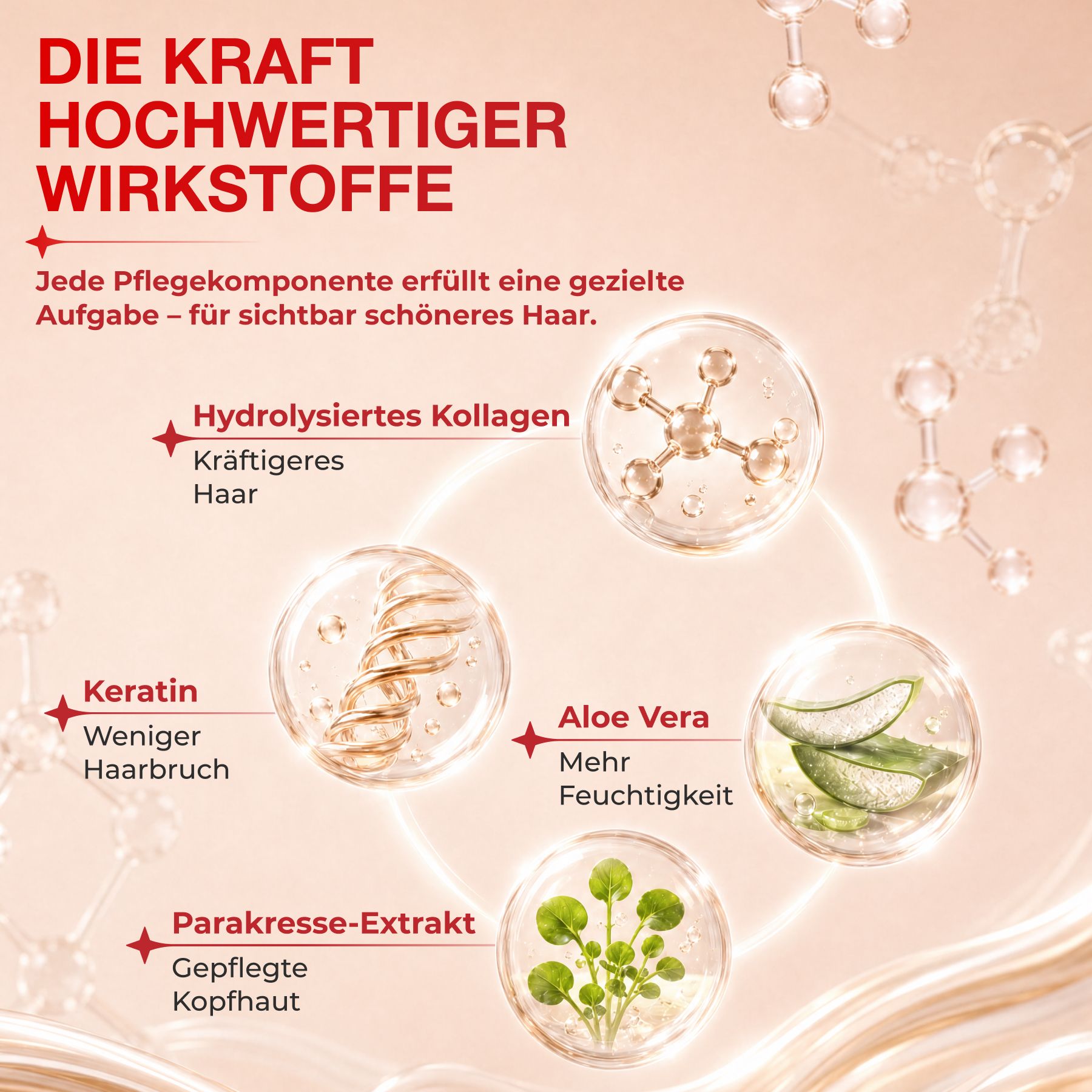 Grafiek met vier haarverzorgingsingrediënten: gehydrolyseerd collageen, keratine, aloë vera en para cress-extract.