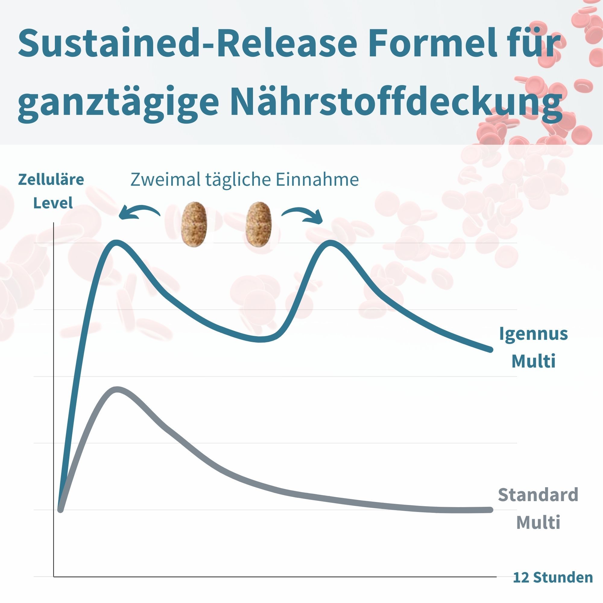 Grafiek toont nutriëntenniveaus over 12 uur. Igennus Multi biedt langdurige afgifte vergeleken met standaard multi's.