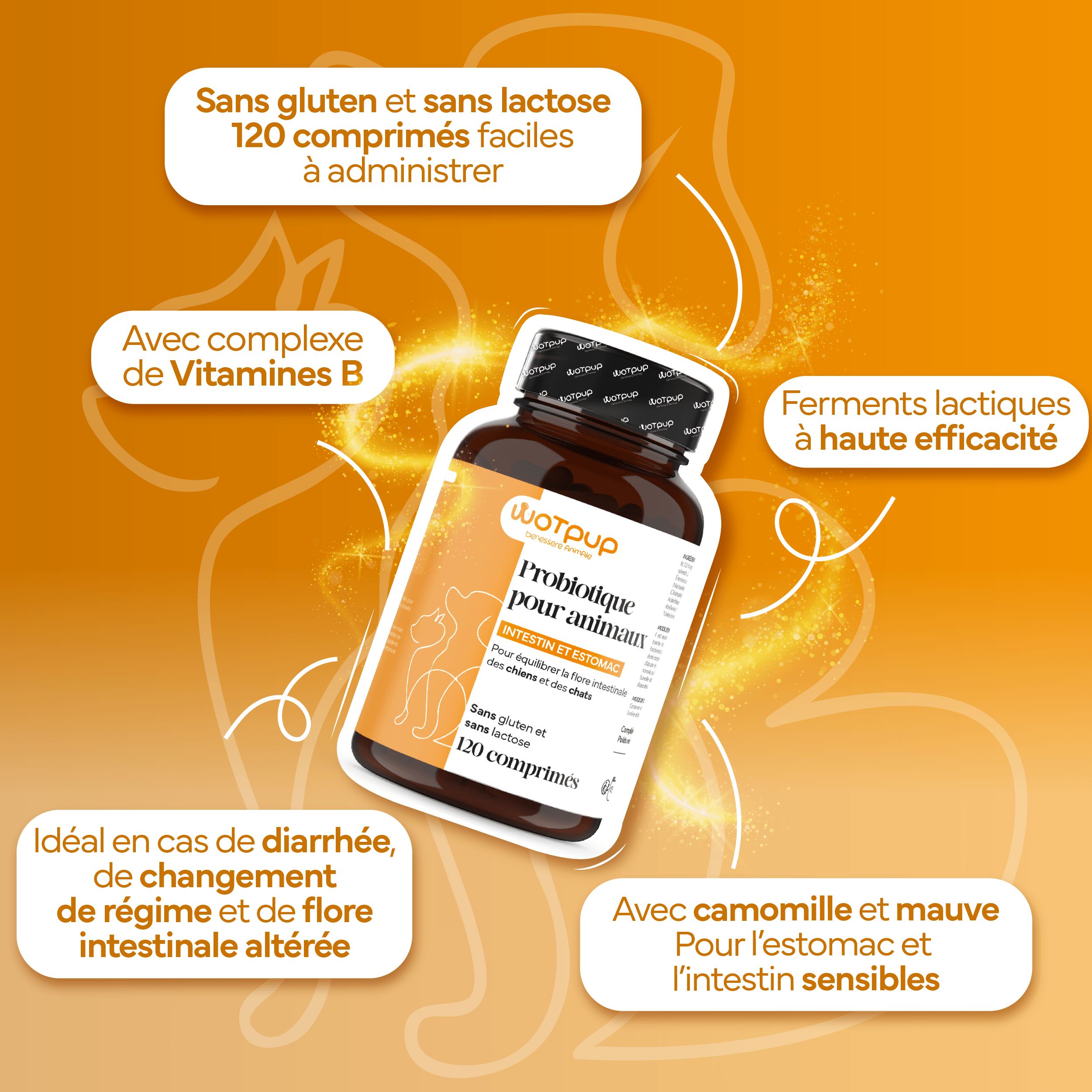 LA.GA© Probiotiques Chiens & Chats: Digestion, Allergies et Immunité. Qualité Italienne.