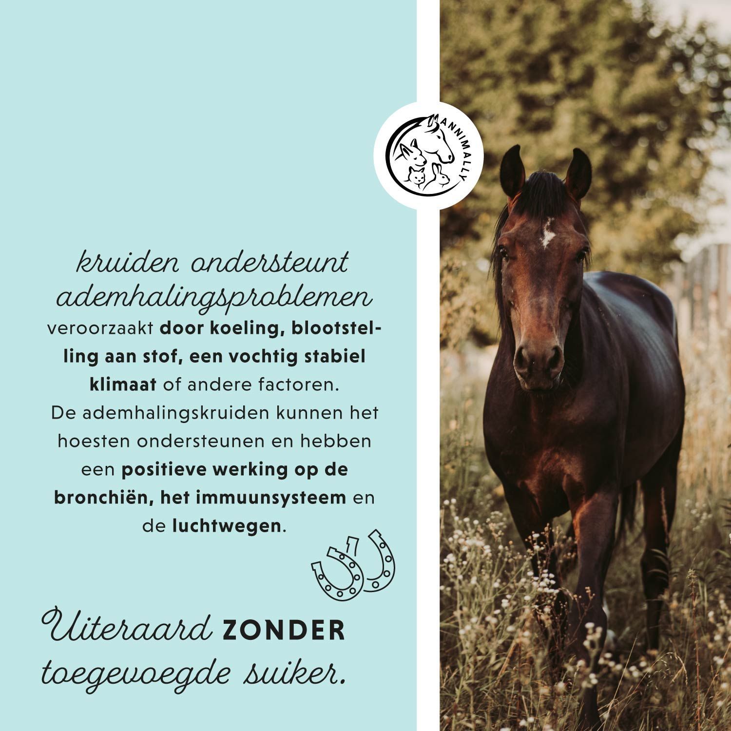 Paard in een veld. Tekst: Kruiden ondersteunen ademhalingsproblemen. Uiteraard ZONDER toegevoegde suiker.