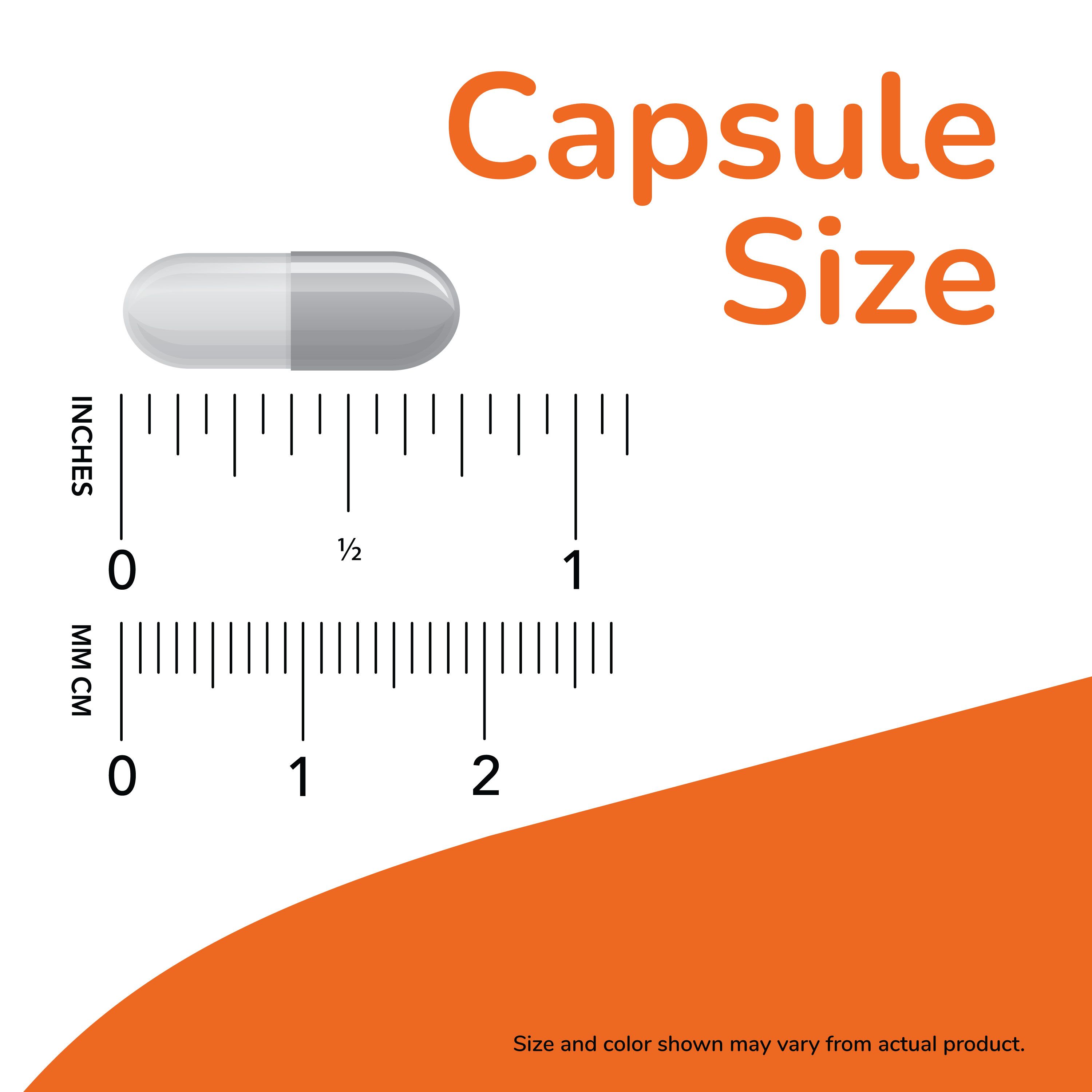 Une capsule est présentée à côté d'une règle indiquant la taille en pouces et en millimètres.