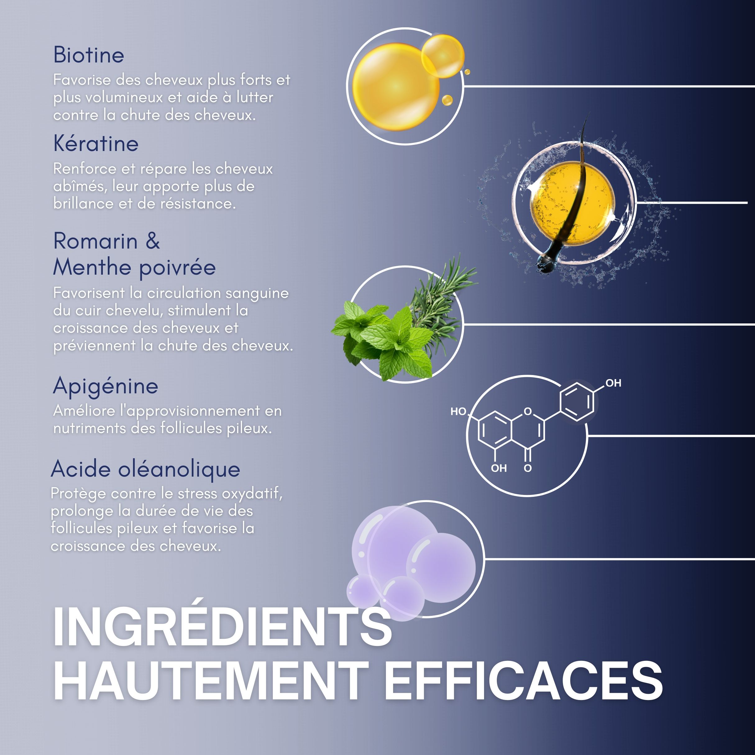 Graphique avec ingrédients. Biotine, Kératine, Romarin & Menthe poivrée, Apigénine, Acide oléanolique. Ingrédients hautement efficaces.