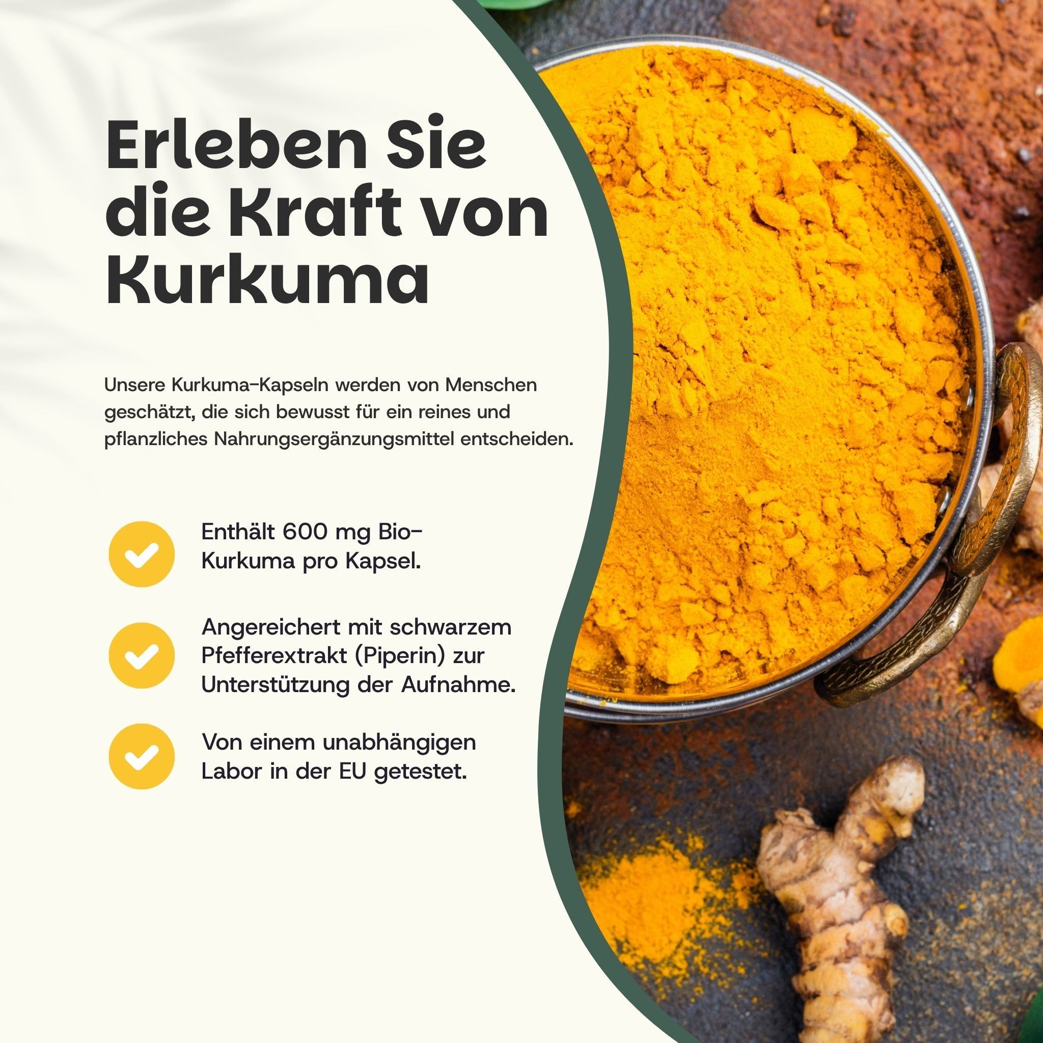 Bol de poudre de curcuma et de racines de curcuma fraîches.