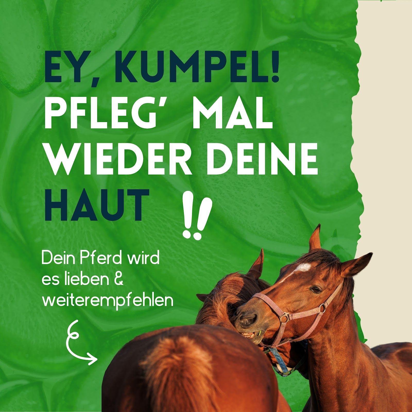 nimo® huidverzorgingsspray voor paarden • met aloë vera & panthenol tegen jeuk en geïrriteerde huid