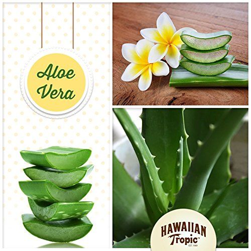 Collage de feuilles et fleurs d'aloe vera. Logo: Hawaiian Tropic.