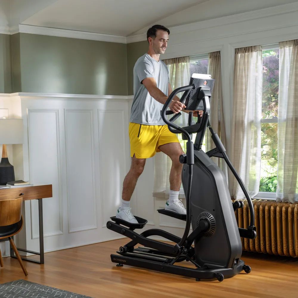 Schwinn Fitness 590E