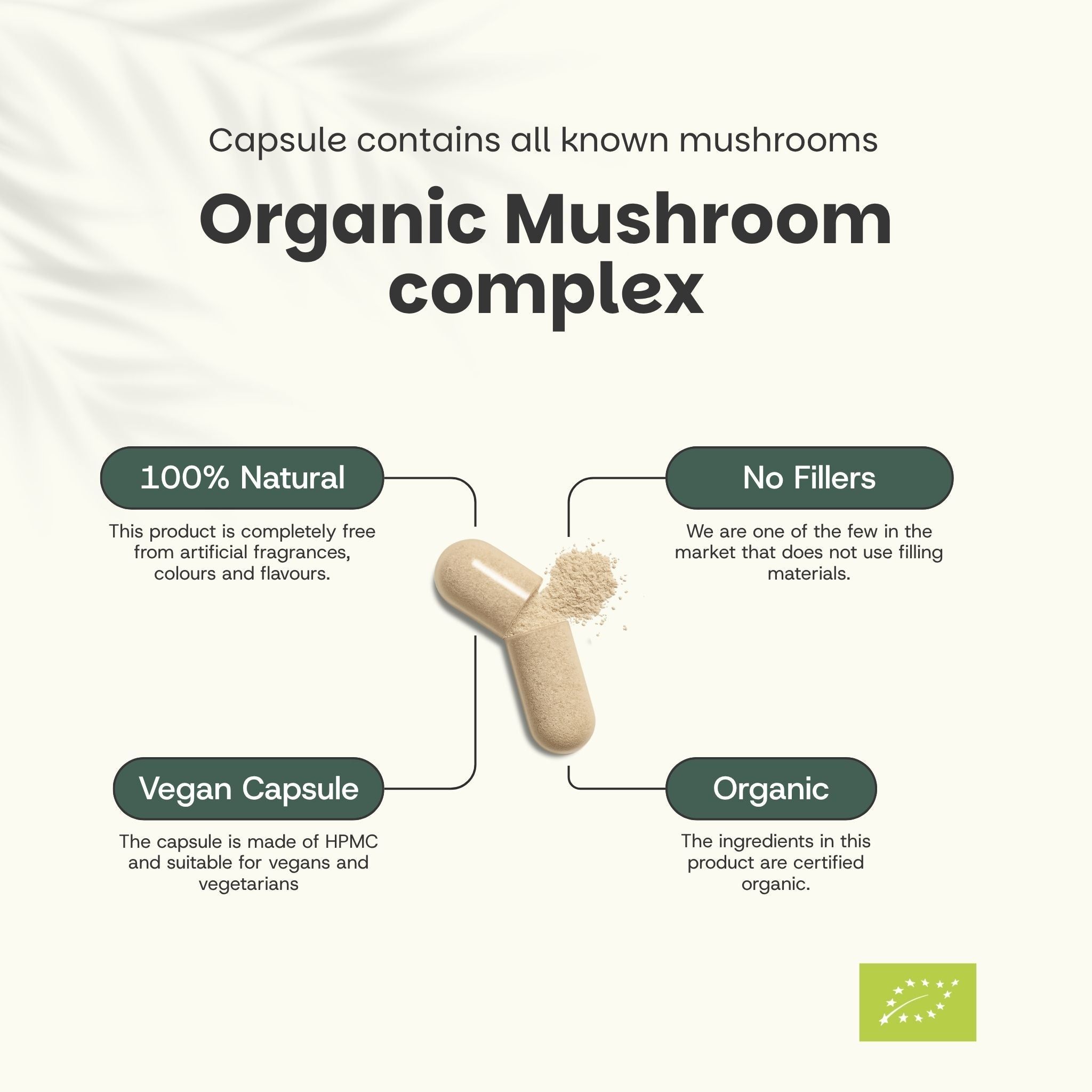 Gélule avec contenu. Texte : Organic Mushroom complex. 100% naturel, sans charges, gélule végétalienne, biologique.