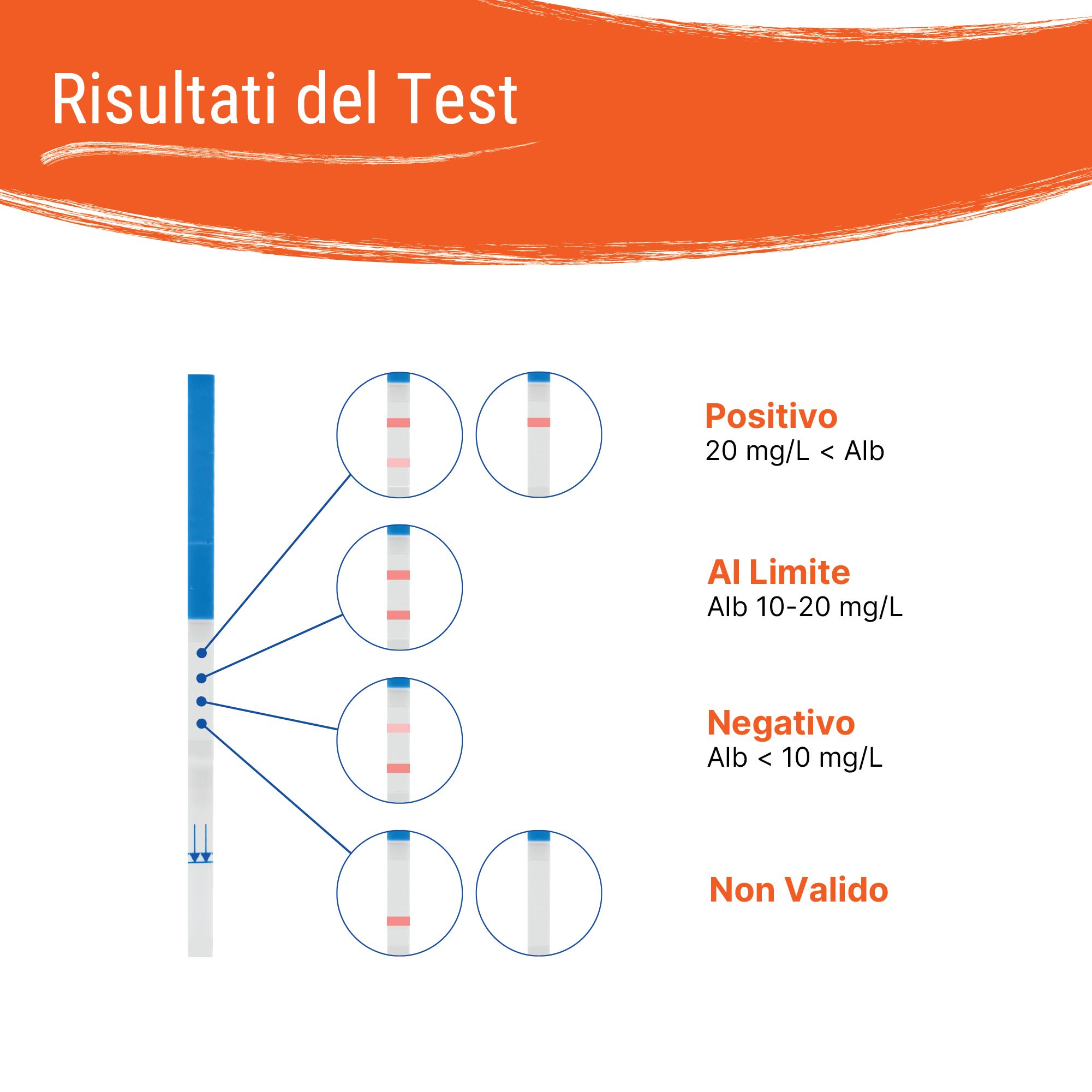 Testresultaten van de Patris Health® zelftest: positief, grens, negatief, ongeldig.
