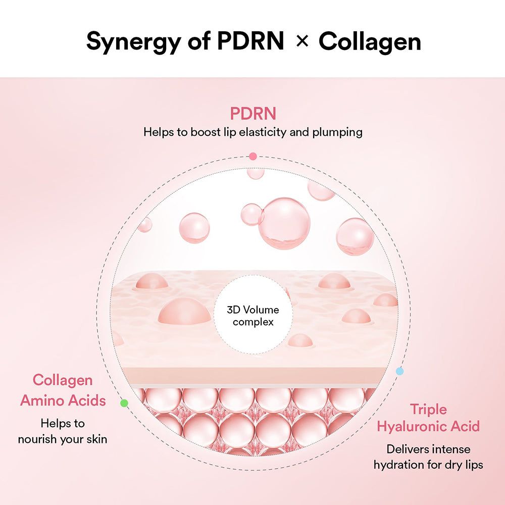 Abib PDRN Collagen Lip Mask Glazed Jelly: Schéma des ingrédients et de leurs effets.