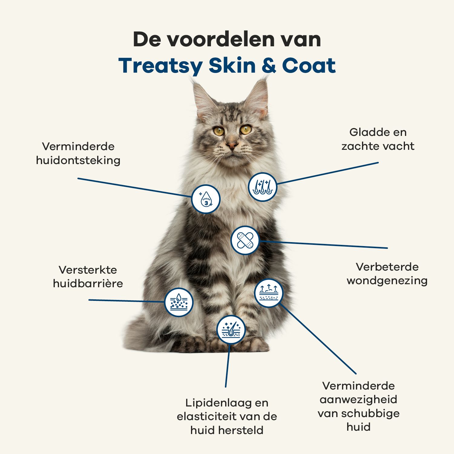 Kat met markeringen. Tekst: Voordelen van Treatsy Skin & Coat. Verminderde huidontsteking, gladde vacht, etc.
