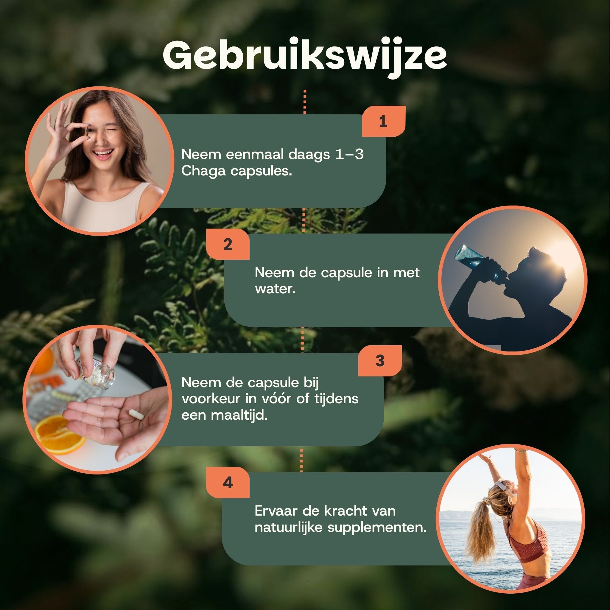 Chaga capsules: 500mg biologische Chaga per capsule, gemaakt van het vruchtlichaam, zonder kunstmatige toevoegingen, vegan capsules.