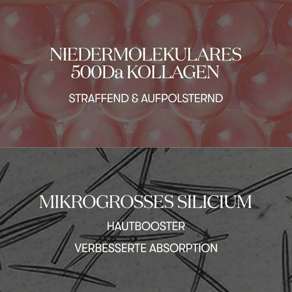 Vue microscopique de sphères roses et d'aiguilles. Texte : Collagène 500Da, raffermissant et repulpant. Silicium micro-taille.