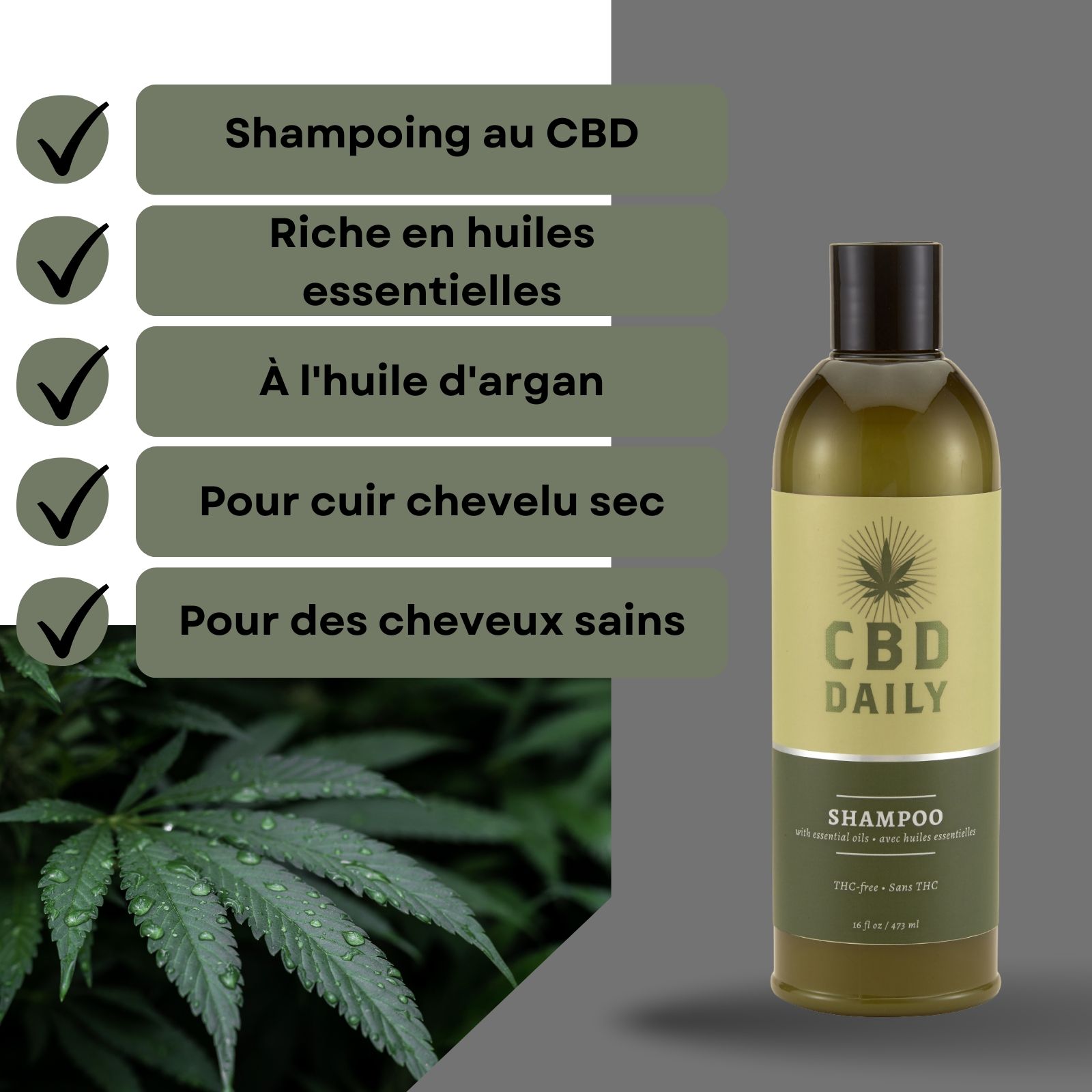 Flacon de shampooing au CBD. Texte: Shampooing au CBD, riche en huiles essentielles, à l'huile d'argan, pour cuir chevelu sec, pour cheveux sains.