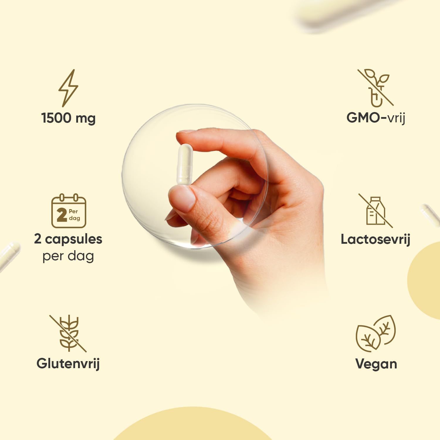 Een hand houdt een transparante capsule vast. Informatie: 1500 mg, 2 capsules per dag, GMO-vrij, lactosevrij, glutenvrij, vegan.