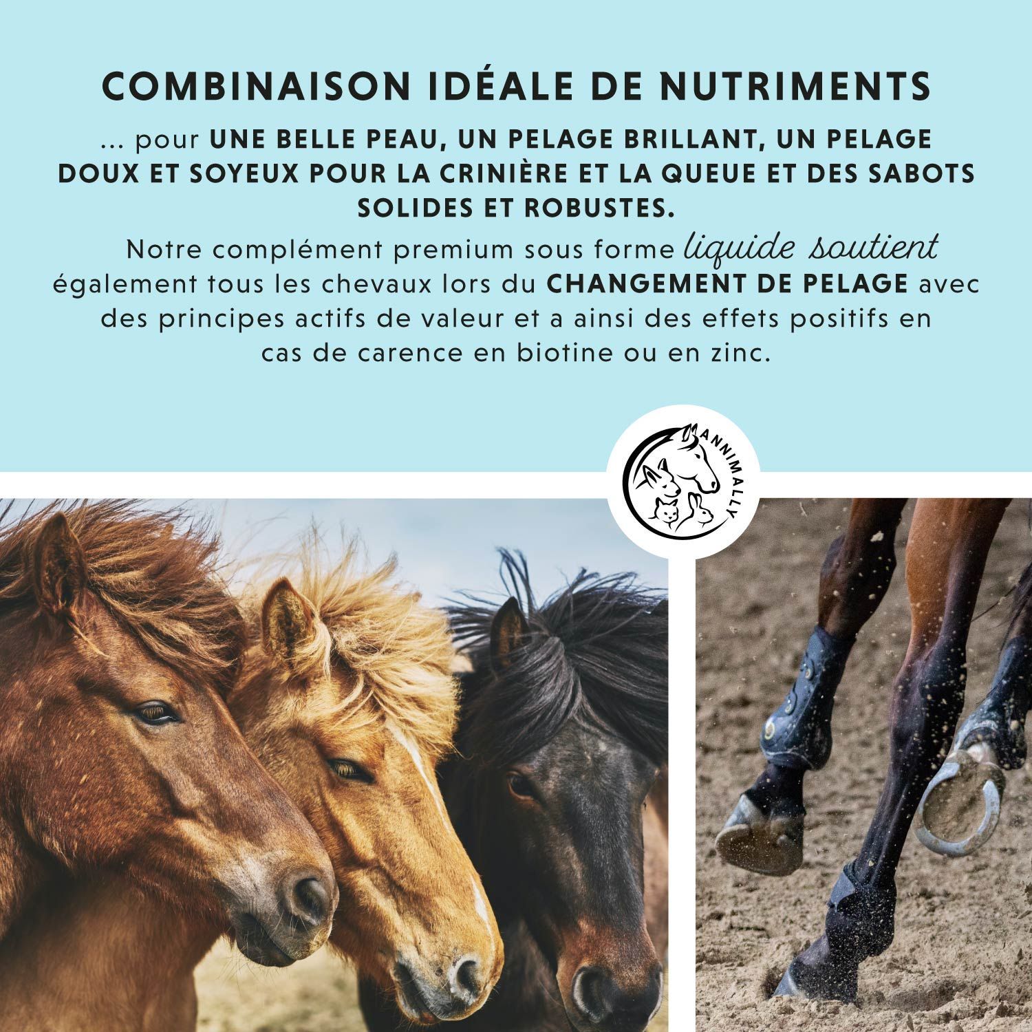 Étiquette Annimally Biotin Liquid. Nom du produit, logo, texte : Peau, cheveux et sabots. Aliment diététique pour chevaux. 1000 ml.