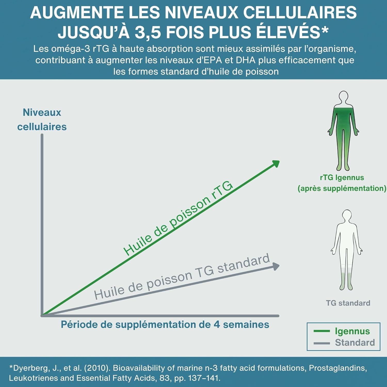 Graphique: L'huile de poisson rTG augmente les niveaux cellulaires 3,5x plus que l'huile standard.
