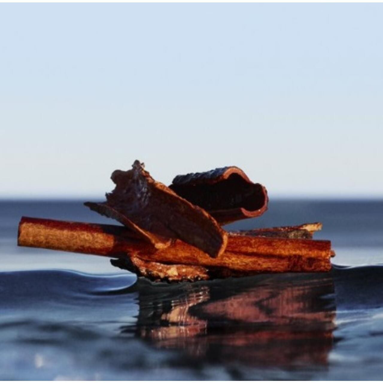 Morceaux d'écorce de cannelle sur l'eau. Pièces brunes, partiellement enroulées. Reflets dans l'eau.