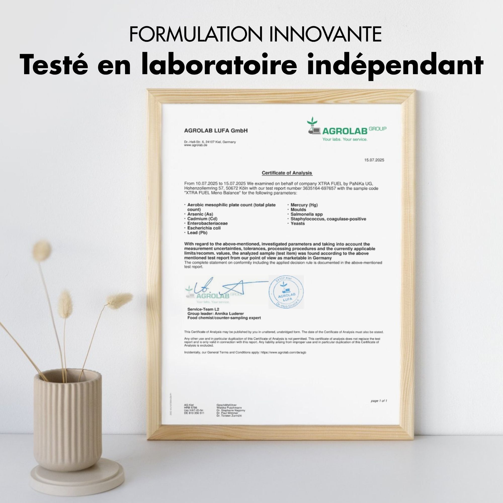 Ingrédients des gélules XTRA FUEL Meno Balance. Texte: 500 mg d'extrait de racine d'igname, 200 mg d'extrait de valériane.