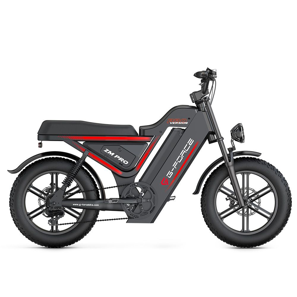 G-FORCE ZM PRO Elektrische mountainbike met 52V 40AH accu en dubbele vering