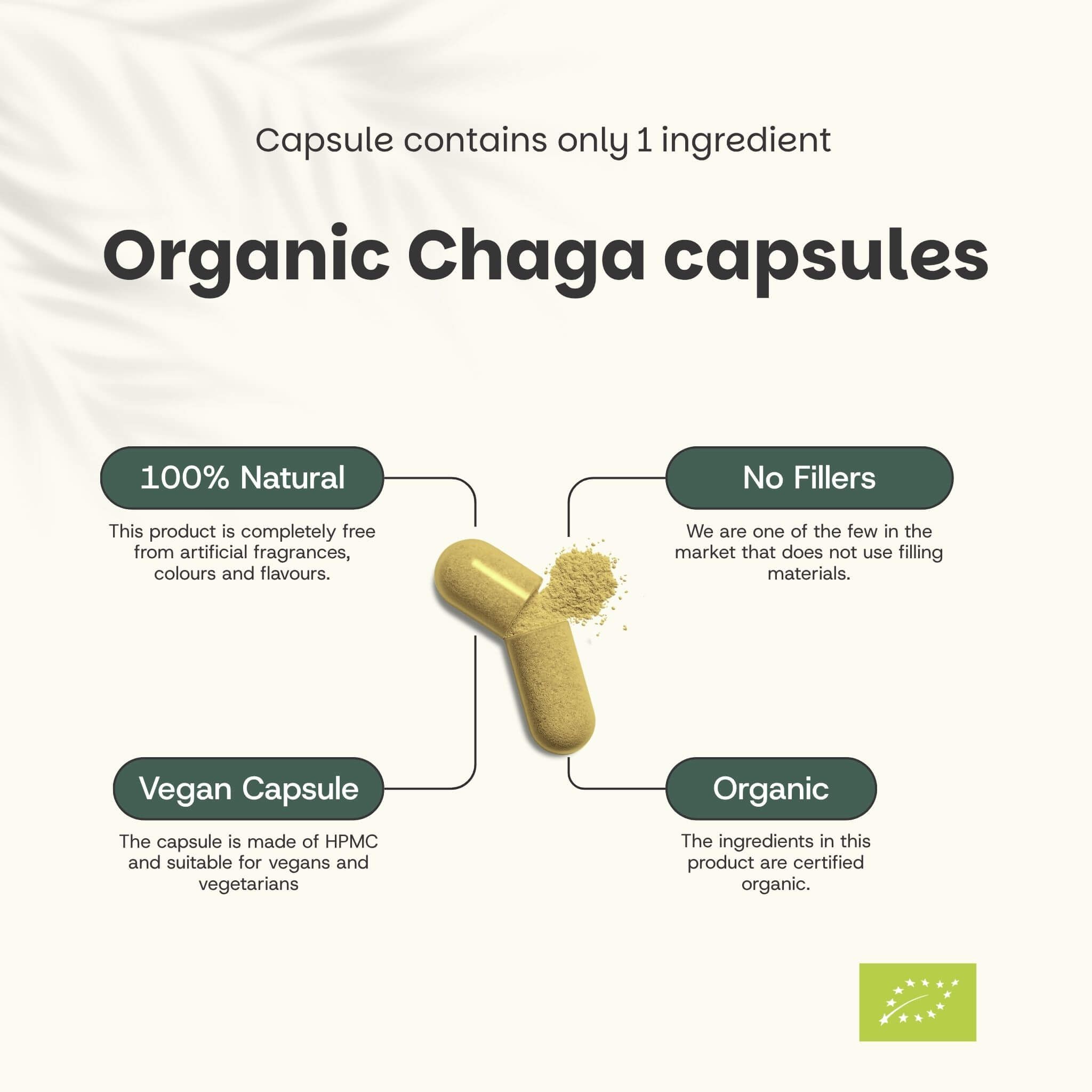 Gélule avec poudre de Chaga. Texte : 100% naturel, gélule végétalienne, biologique, sans agents de remplissage.