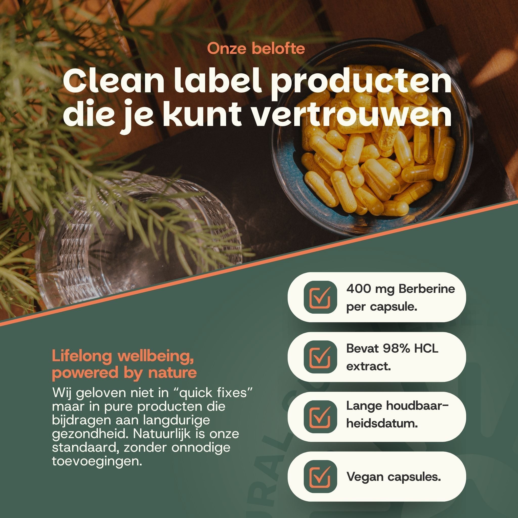 GOYU berberine: Duurzame verpakking, individueel getest, één ingrediënt, past door brievenbus.