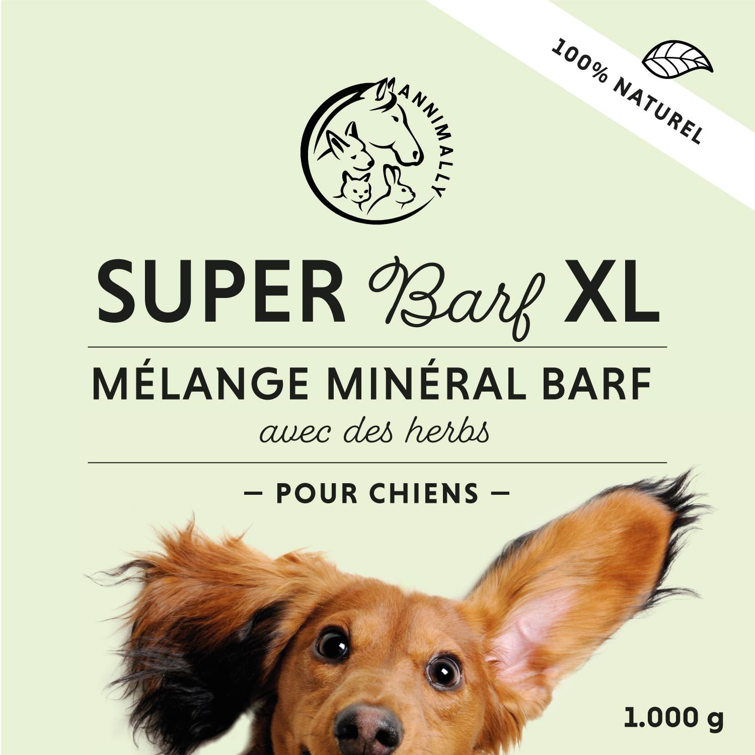 Chien dans la forêt. Texte: Apport équilibré en vitamines, minéraux, oligo-éléments, fibres et acides aminés.
