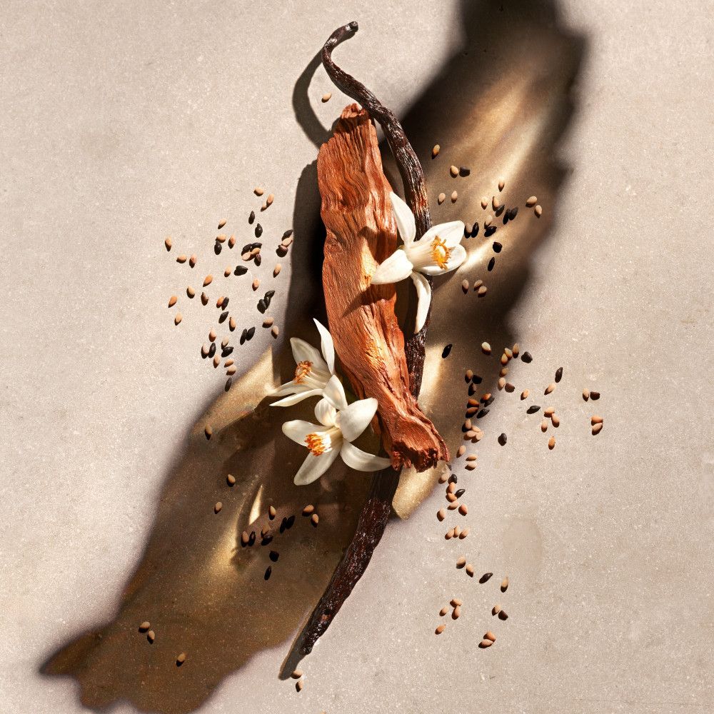 Gousse de vanille, morceau de bois et fleurs sur fond clair. Graines sombres dispersées.