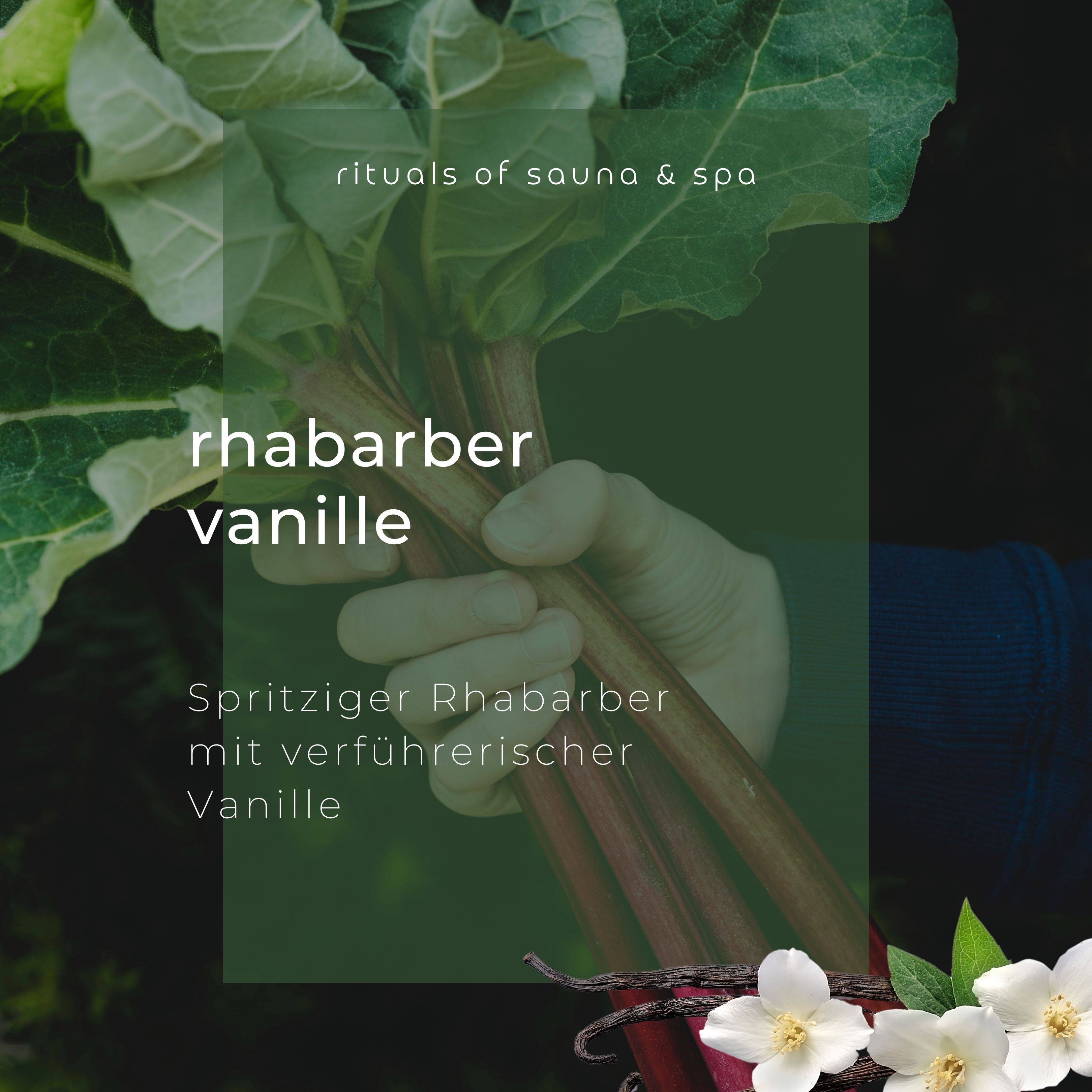 Aufguss Rabarber-Vanille. Rabarberstelen en vanillestokjes. Tekst: Sprankelende rabarber met verleidelijke vanille.