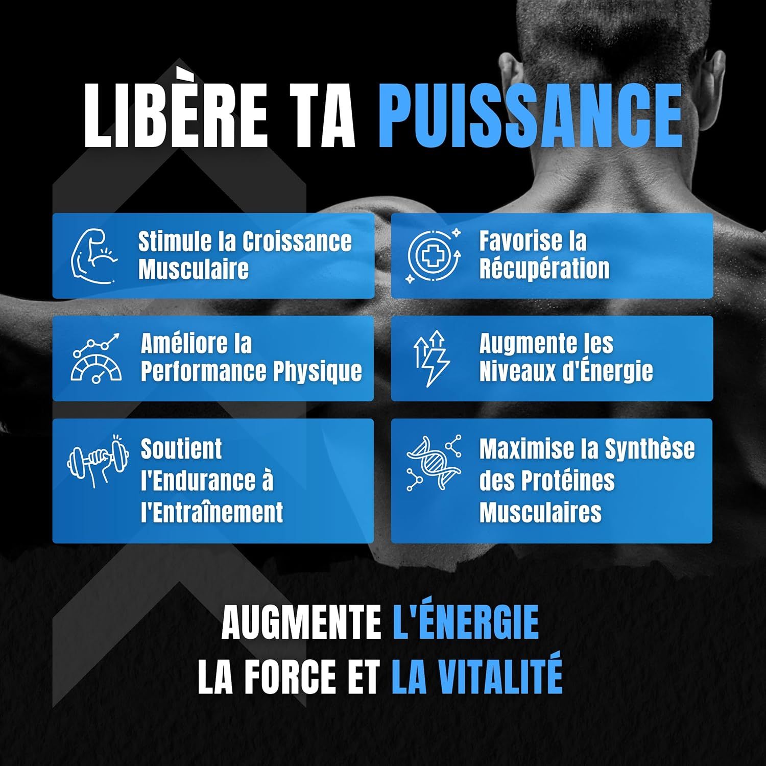 Grafiek met blauwe velden en tekst. Bevordert spiergroei, herstel, prestaties, energie, uithoudingsvermogen, eiwitsynthese.