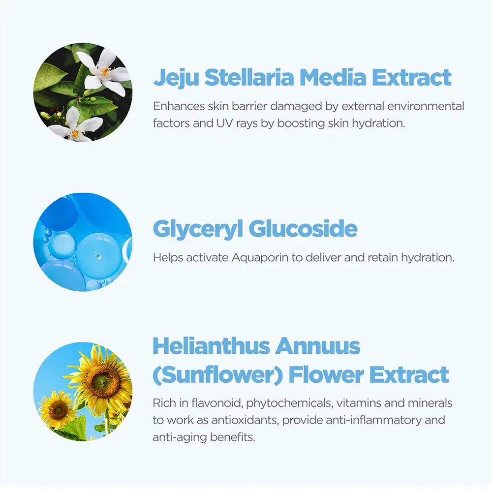 Drie cirkels met tekst en afbeeldingen. Jeju Stellaria Media Extract, Glyceryl Glucoside, Helianthus Annuus (Sunflower) Flower Extract.