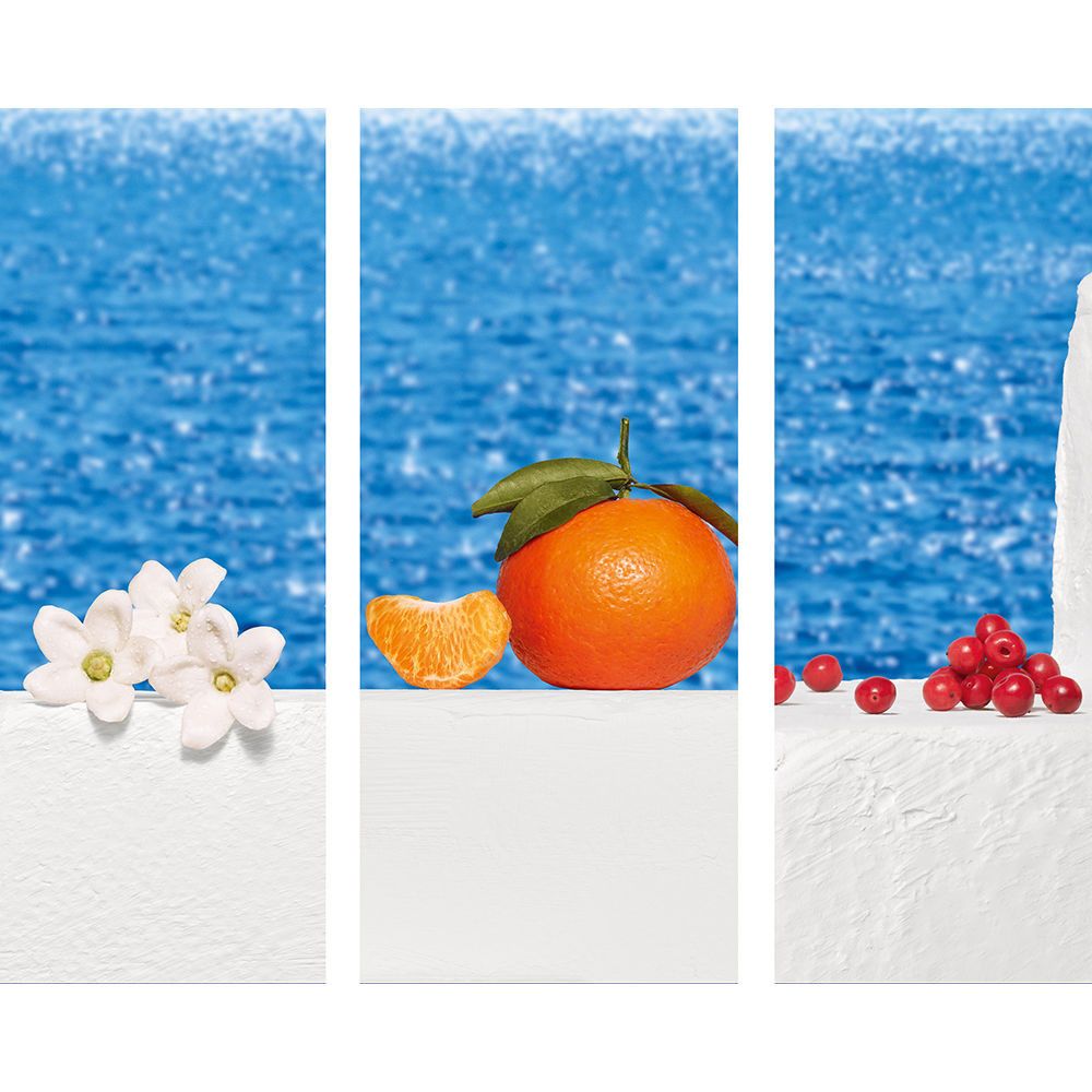 Drie witte vlakken met bloemen, sinaasappel en bessen op blauwe achtergrond.