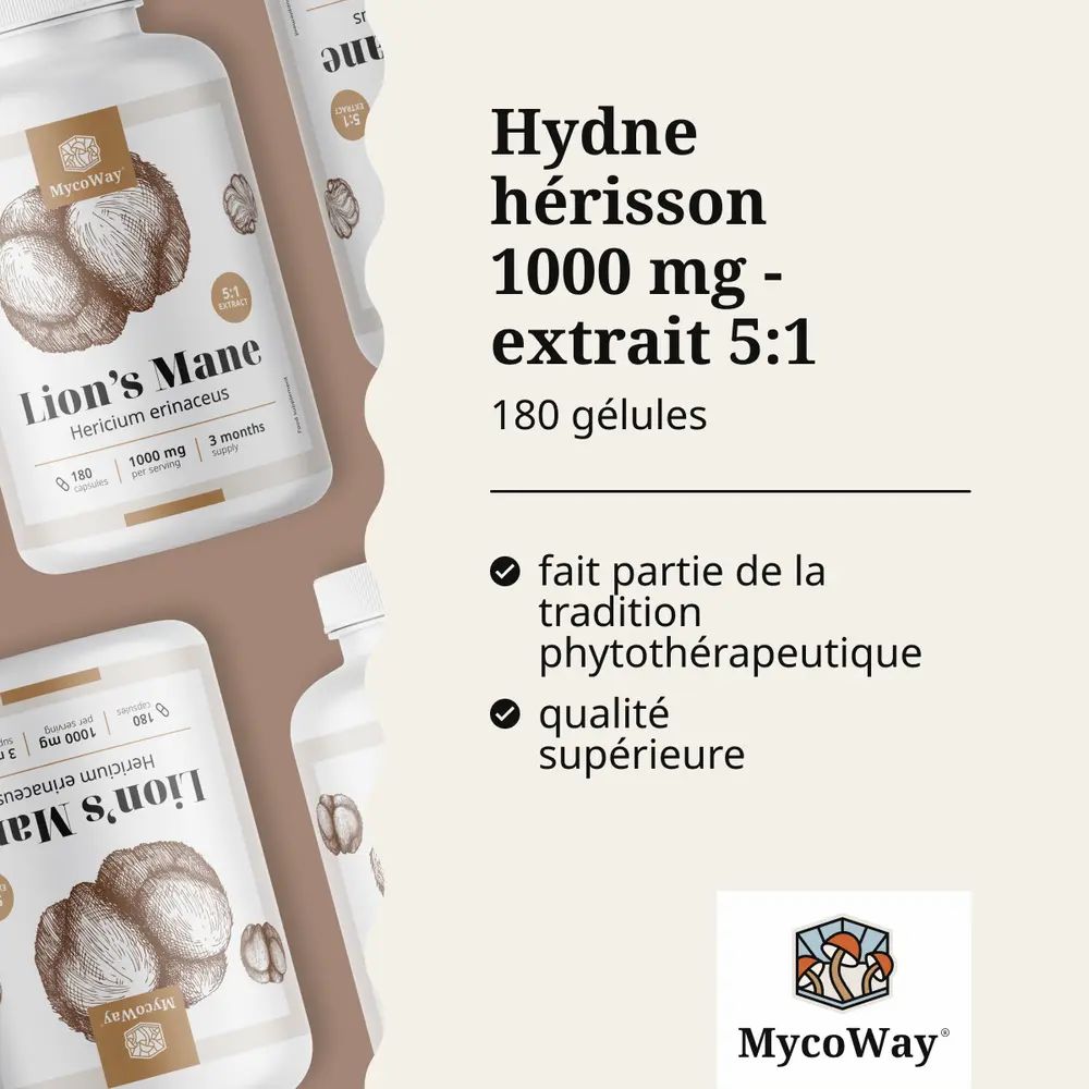 Plusieurs flacons Lion's Mane. Texte : Hydne hérisson 1000 mg - extrait 5:1. Marque : MycoWay.