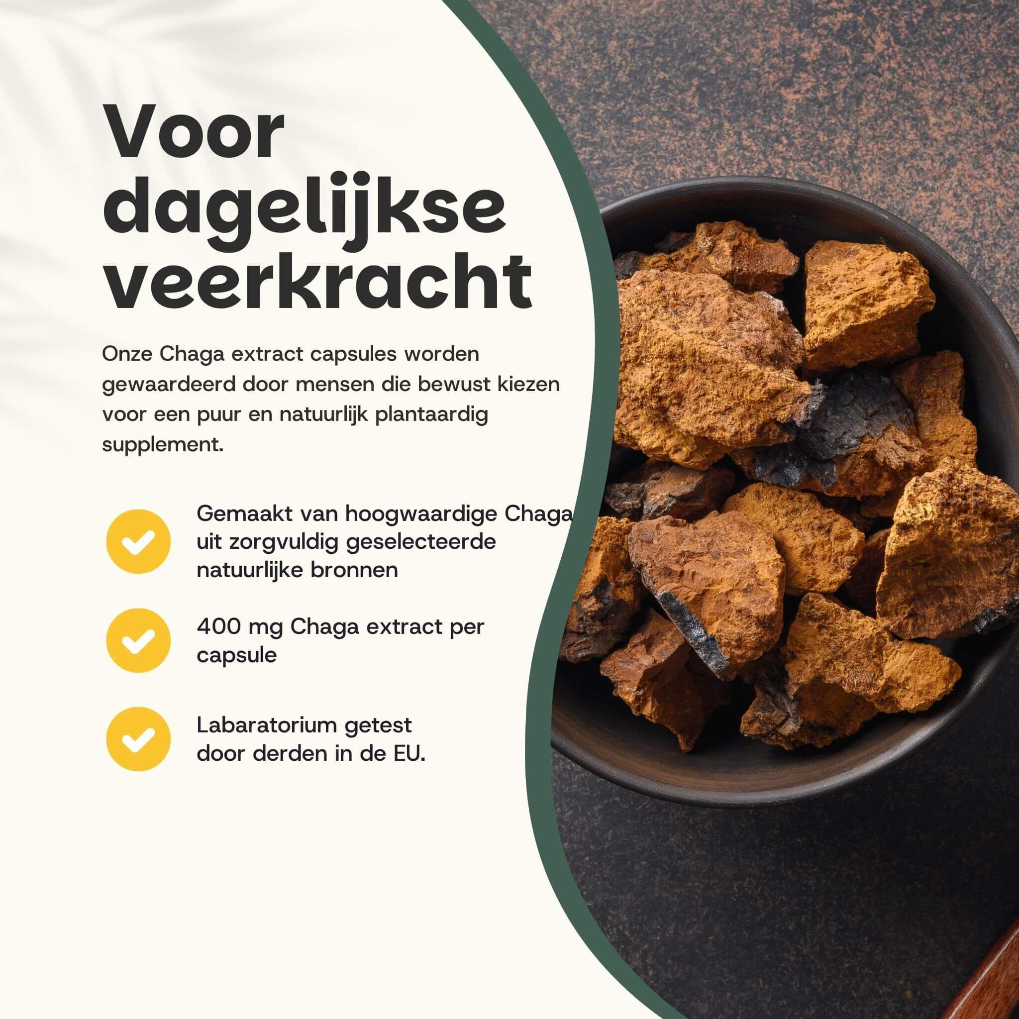 Kom met stukjes chaga paddenstoel. Tekst: 400 mg chaga extract per capsule. Laboratorium getest in de EU.