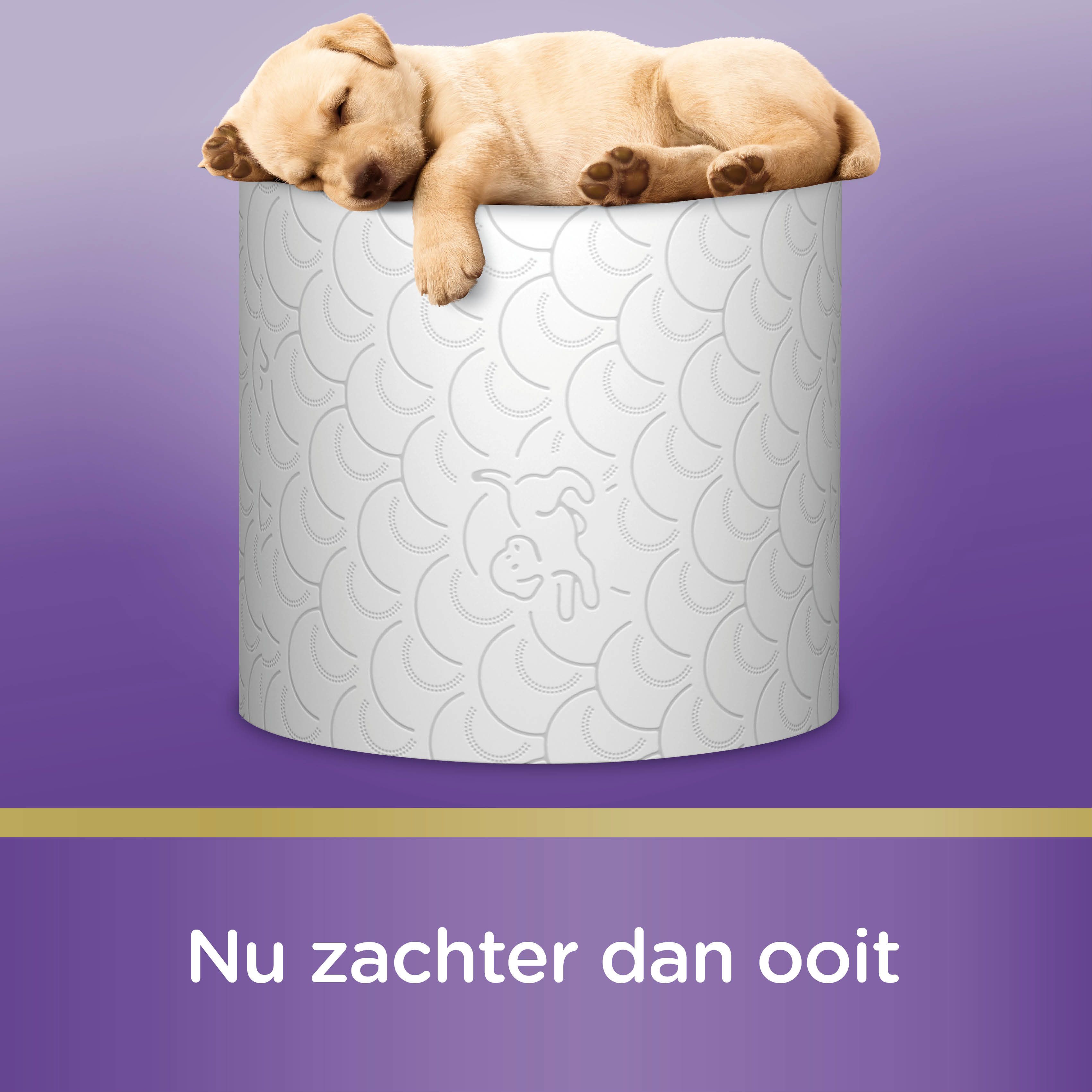Rouleau de papier toilette avec un chiot dormant dessus. Rouleau blanc avec illustration de chien.