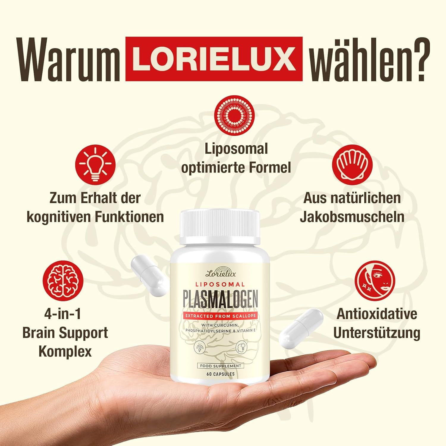 Gélules Lorielux Plasmalogen en main. Avantages : fonction cognitive, complexe cérébral 4-en-1, formule optimisée, extrait de pétoncle, antioxydant.