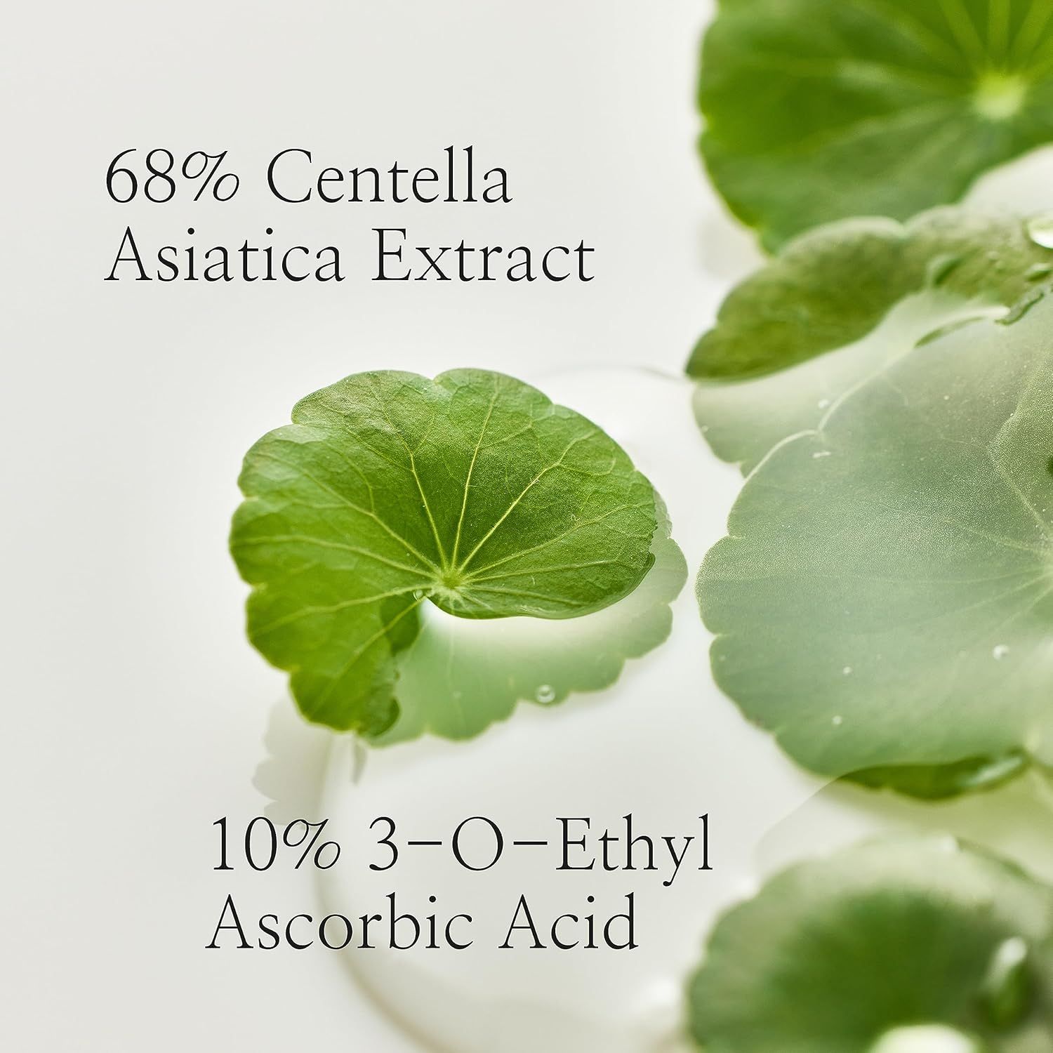 BEAUTY OF JOSEON Light On Serum Centella + Vita C