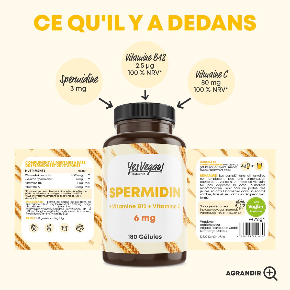 Bouteille avec étiquette montrant les ingrédients et avantages des gélules de spermidine. 180 Gélules.